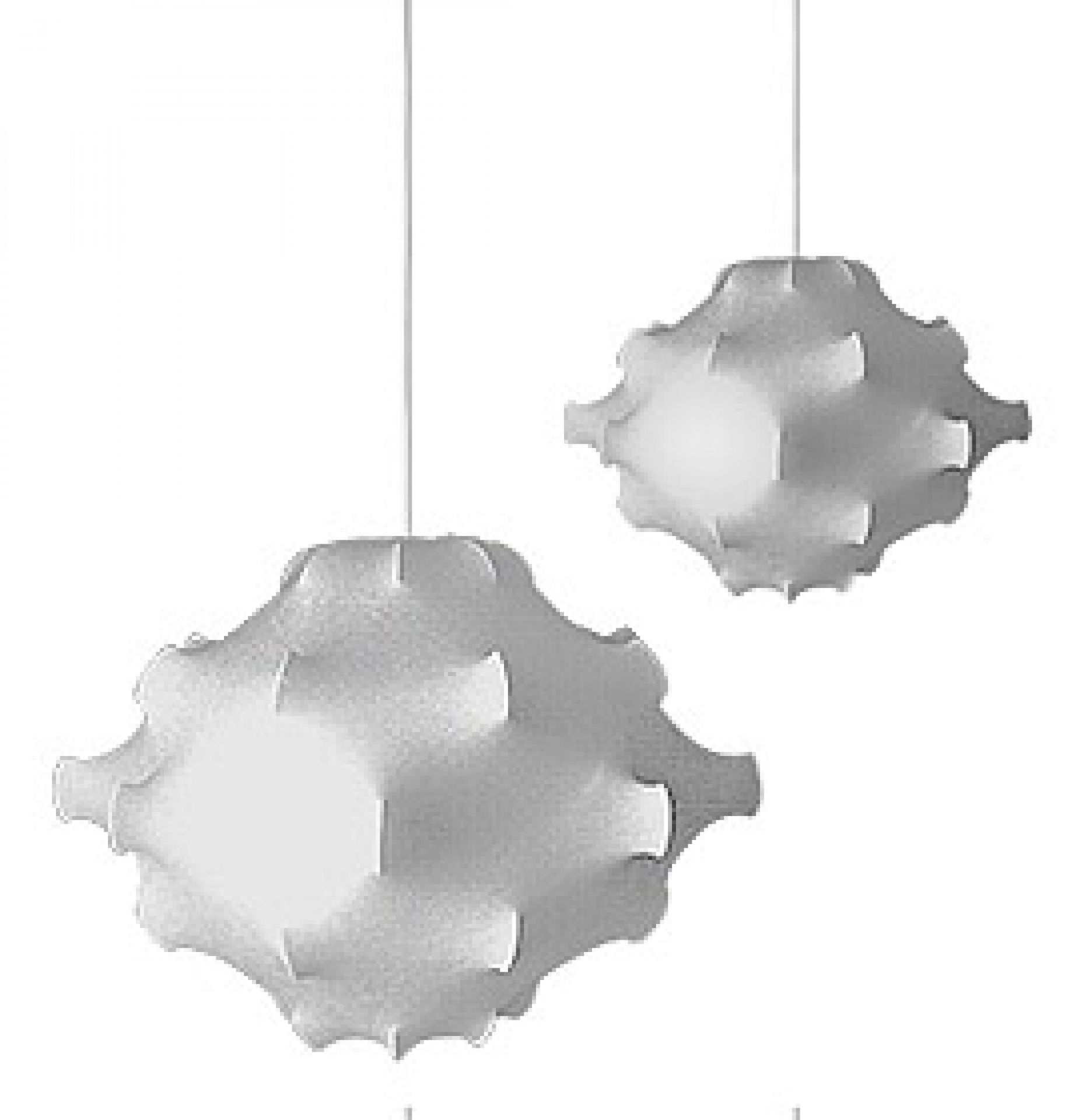 Taraxacum S1/2 Suspension Flos