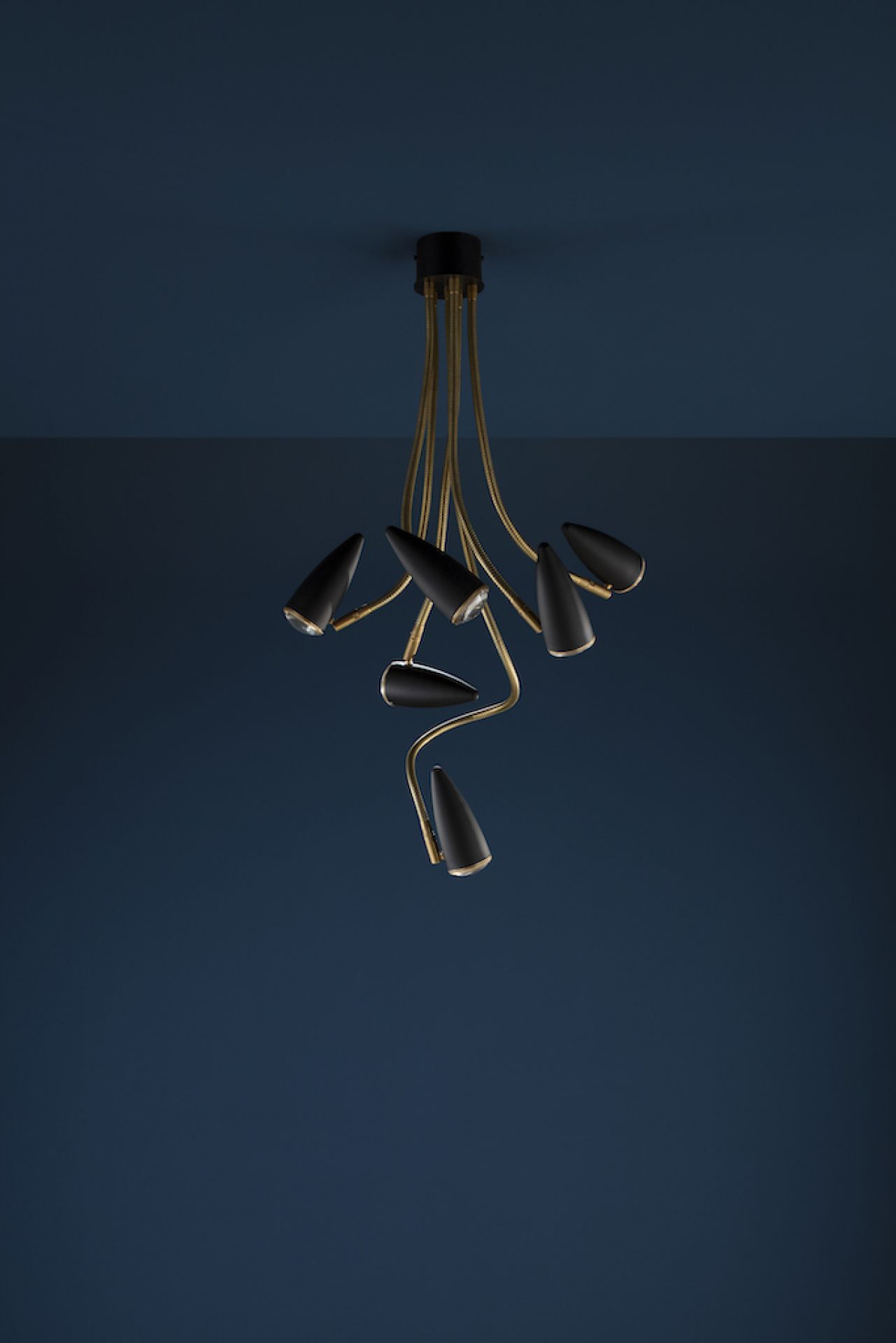 CicloItalia Flex C6 Lampe à Plafond Catellani & Smith