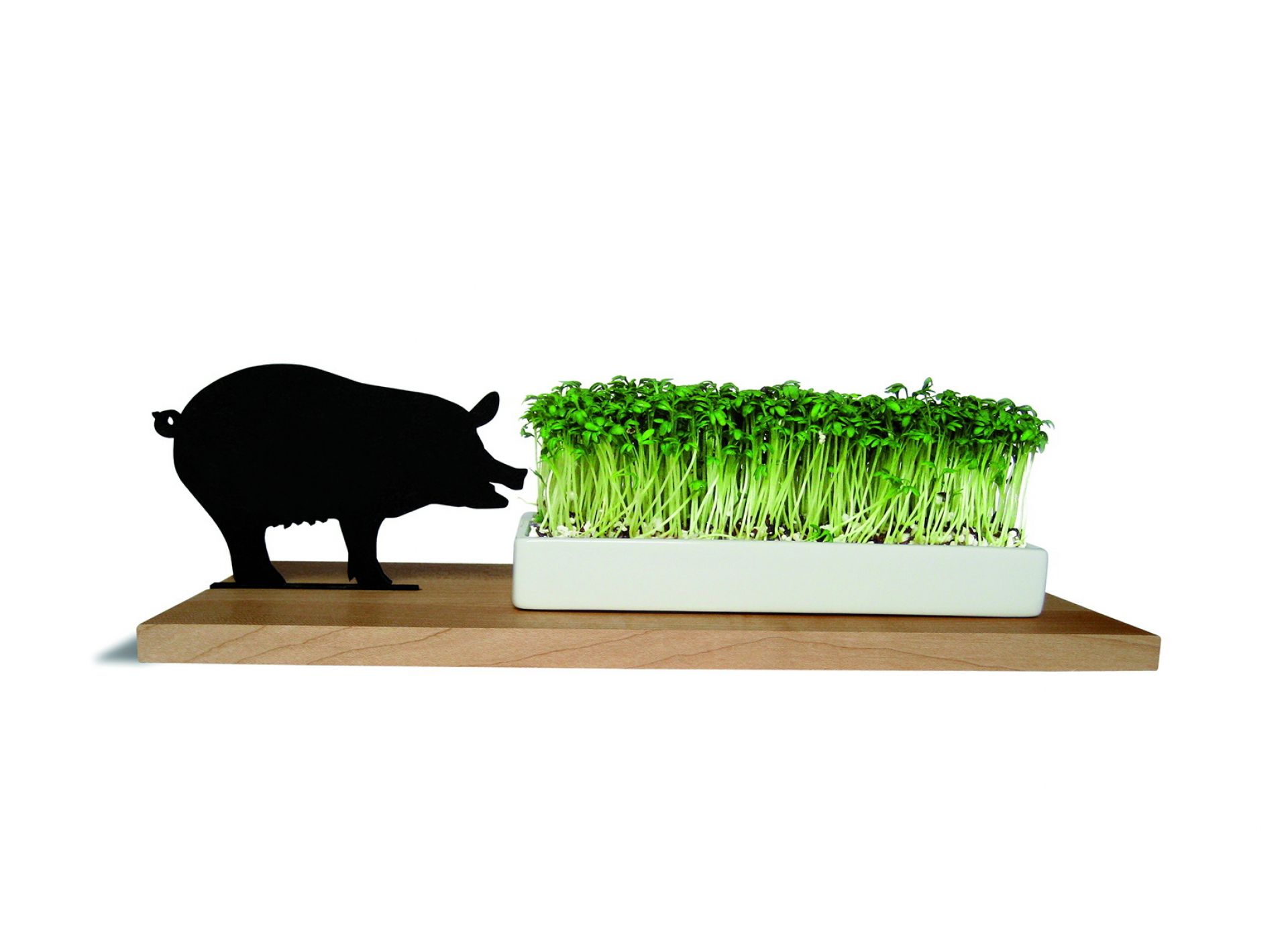 Smart 'n' green Plat de cresson Porc Side by Side OFFRE SPECIALE