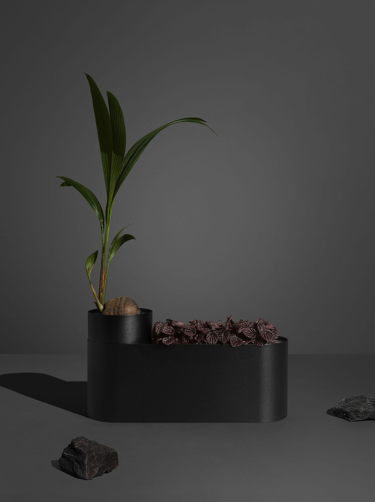 Plant Here Boîte à plantes / pot de fleurs Mizetto QUICK SHIP