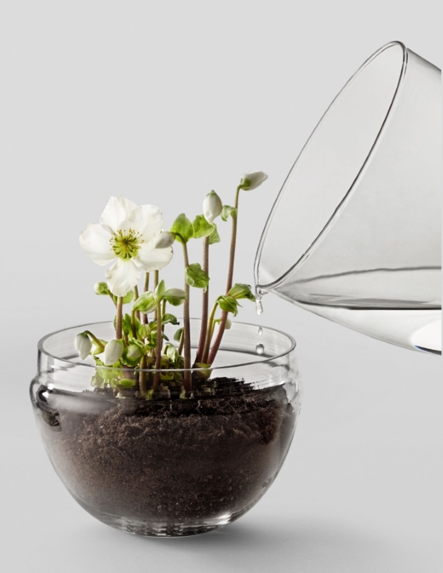Grow XL serre Design House Stockholm