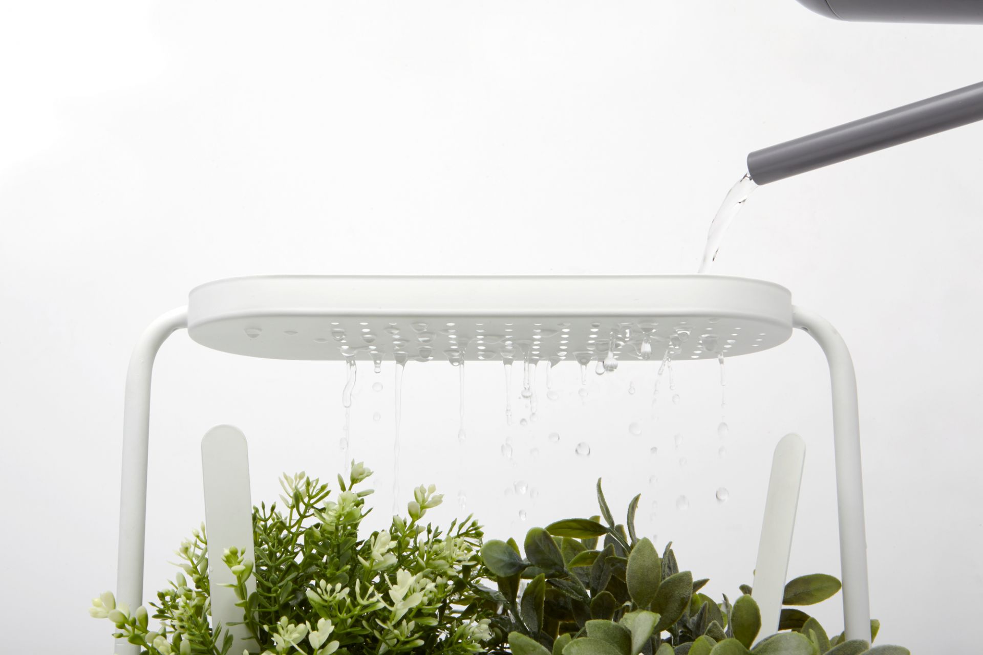 Giardino Pot à base de plantes Umbra OFFRE SPECIALE