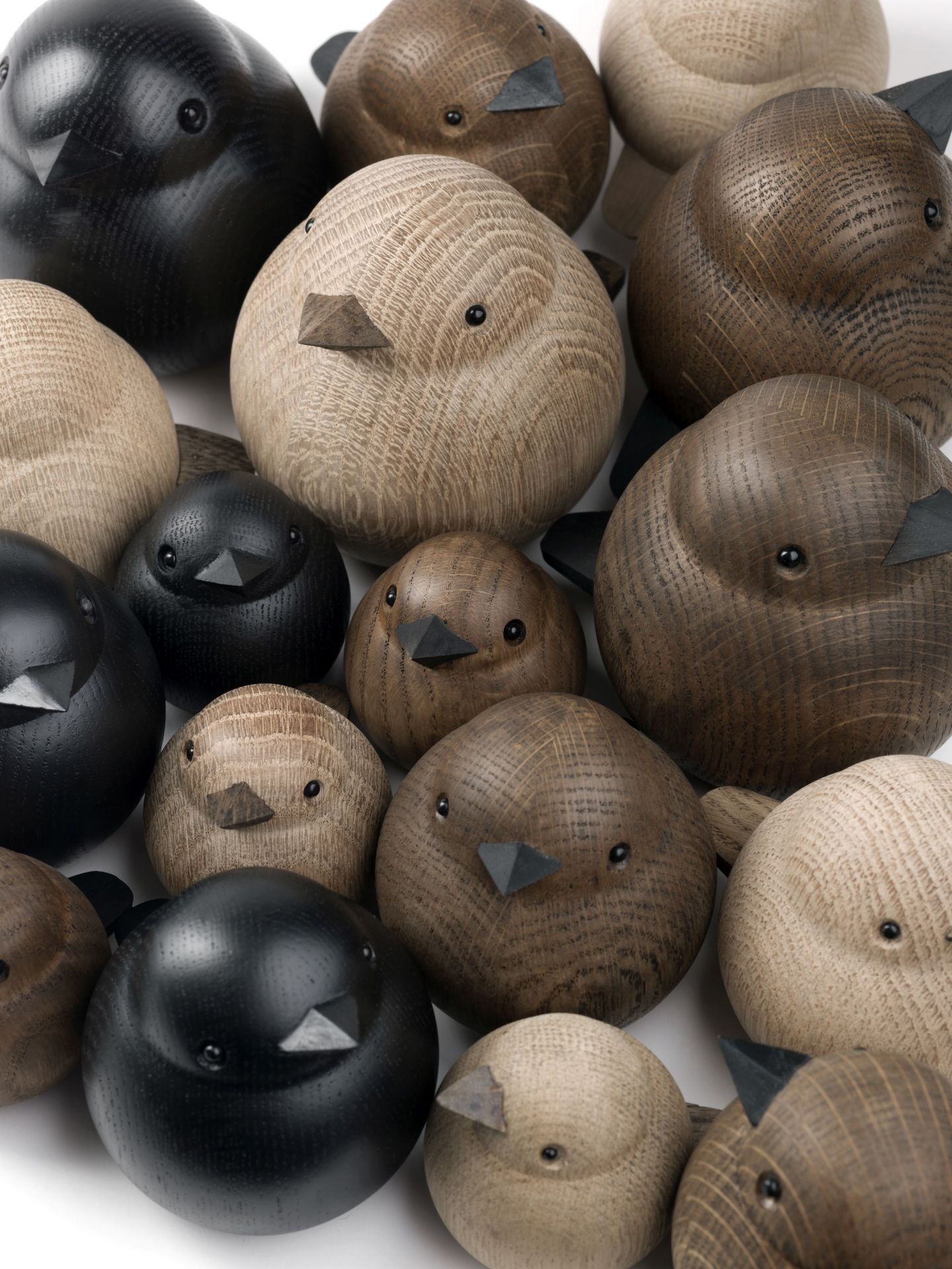 Sparrow chêne noir novoform OFFRE SPECIALE