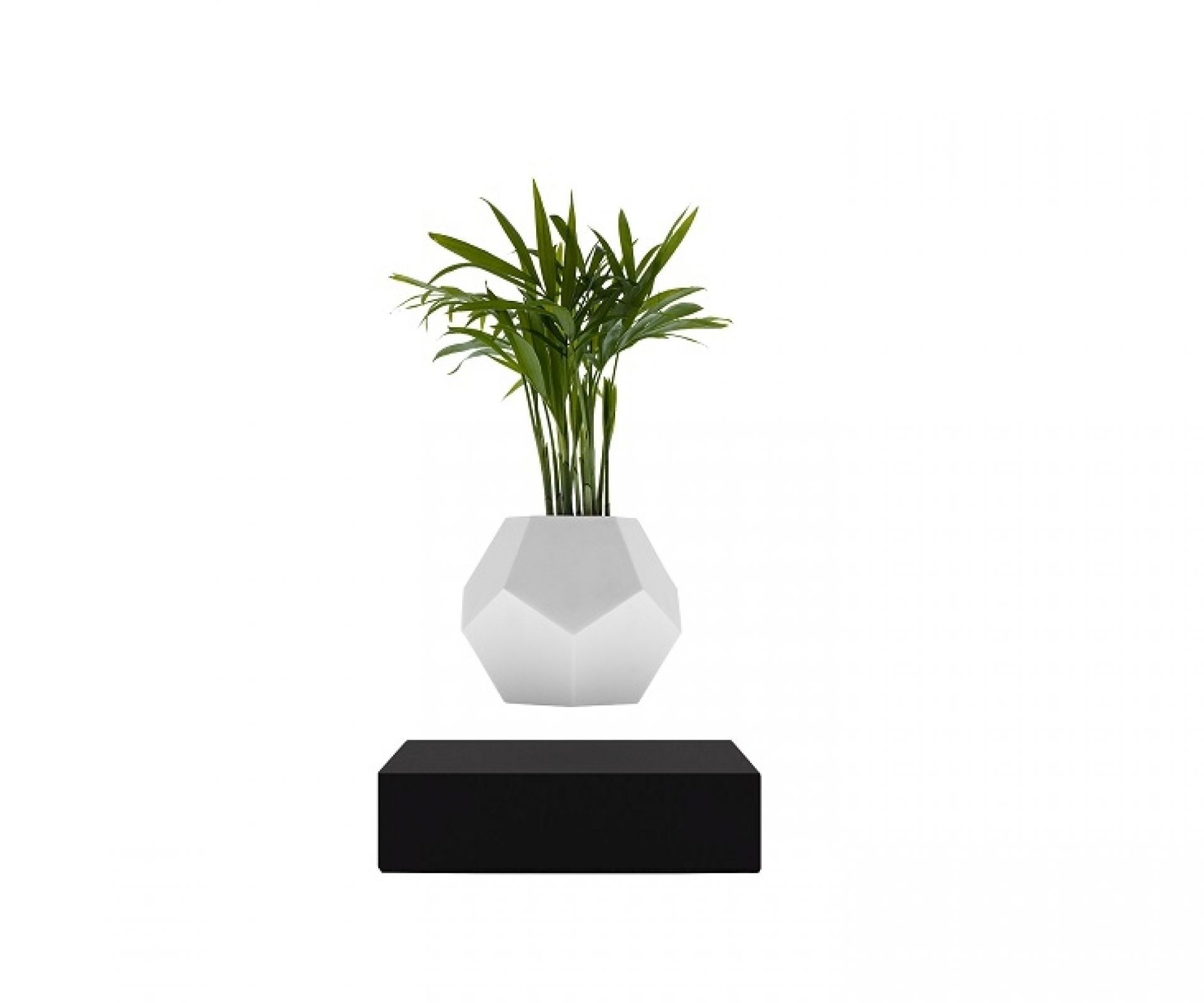 Lyfe vase flottant PIED AHRON NOIR / POT BLANC Klein & More PIÈCE UNIQUE