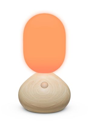 Sun Home Sculpture lumineuse / Lampe de table grise