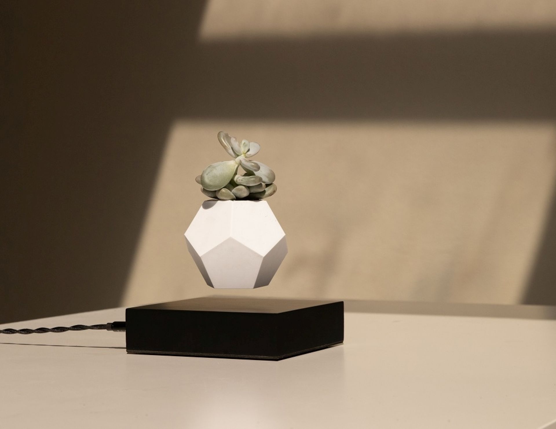 Lyfe flottant Vase Klein & More Bois d'érable Noir OFFRE SPECIALE