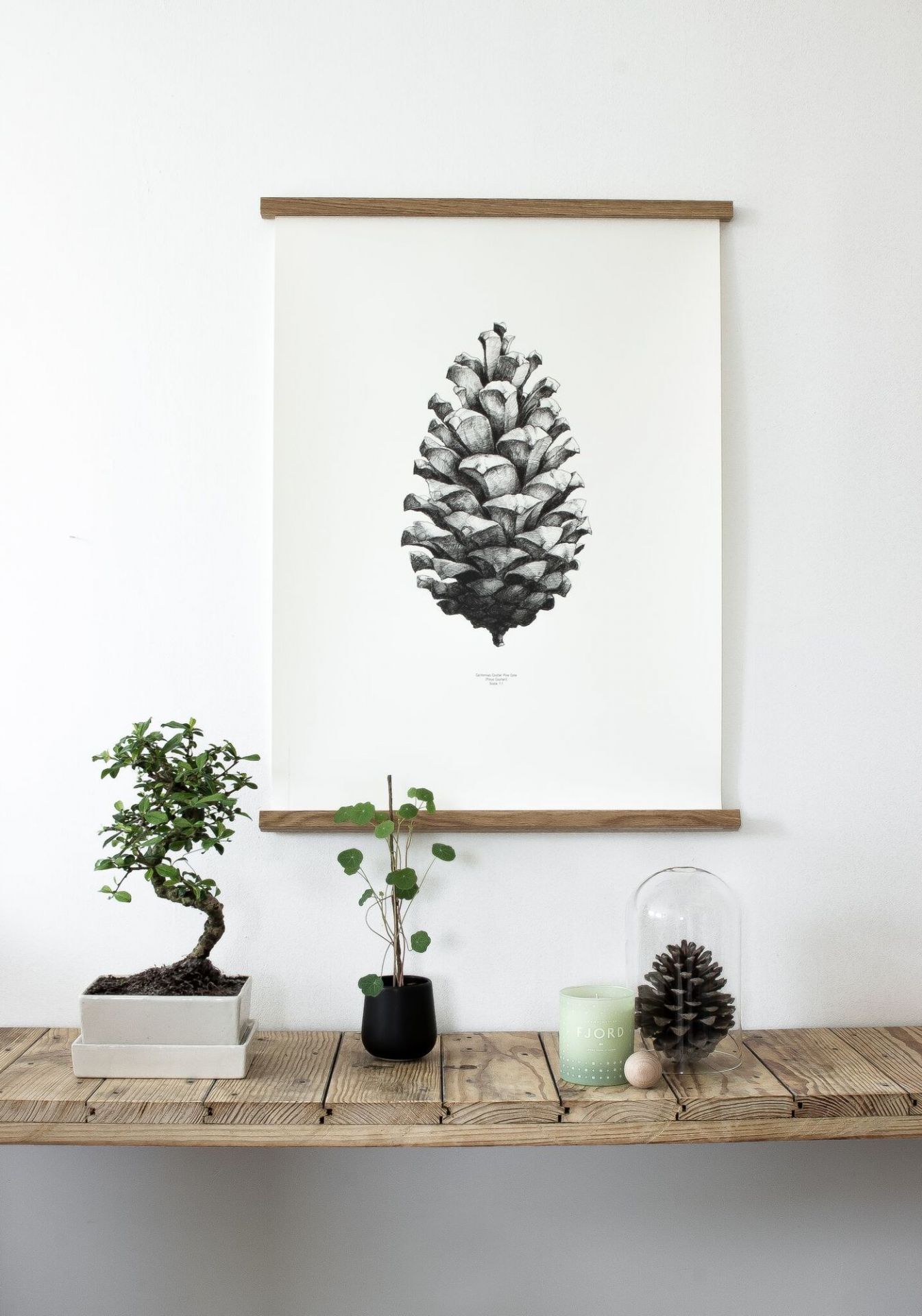 Affiches Strip noyer 73 cm Paper Collective OFFRE SPECIALE