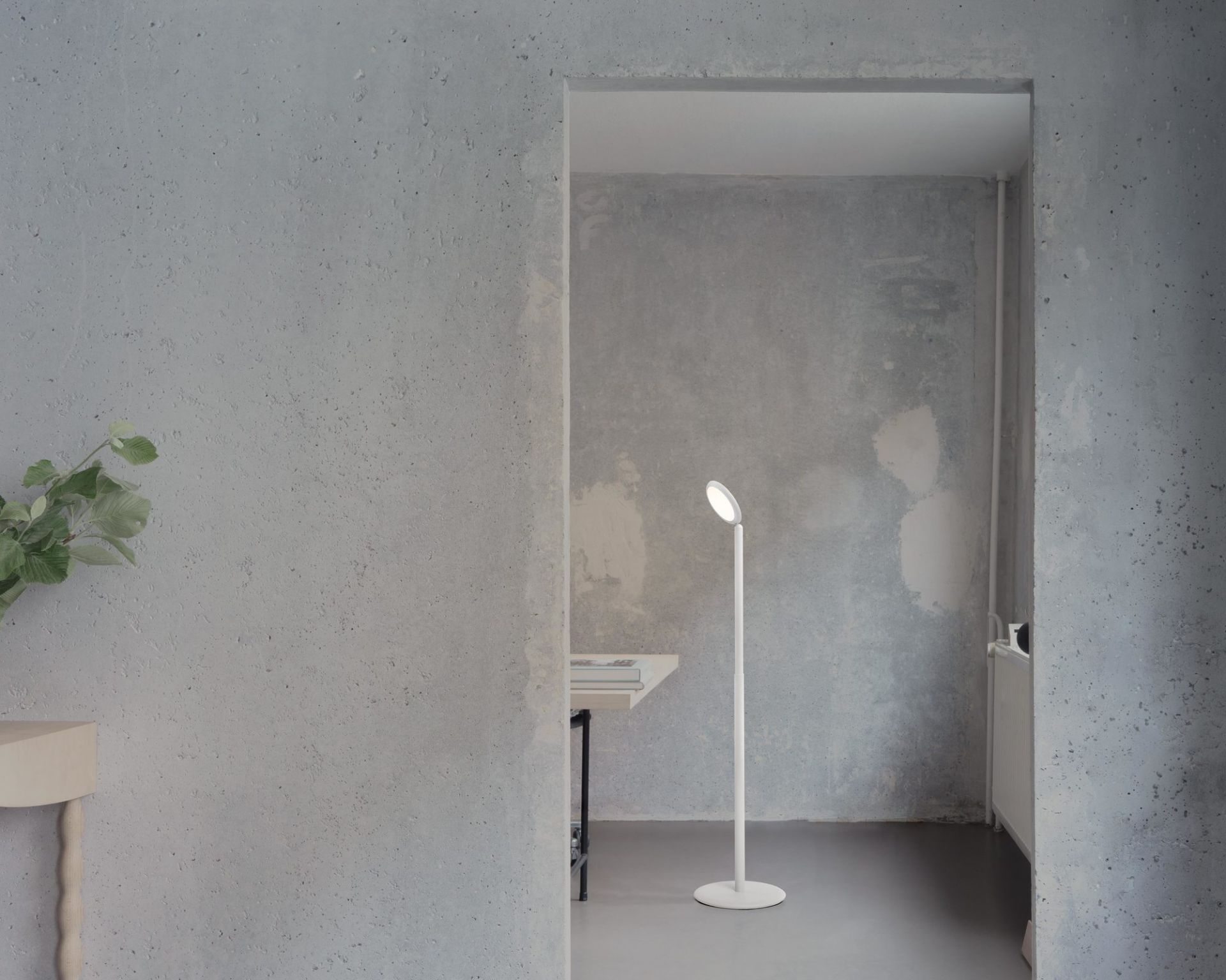Parrot Lampadaire Grau