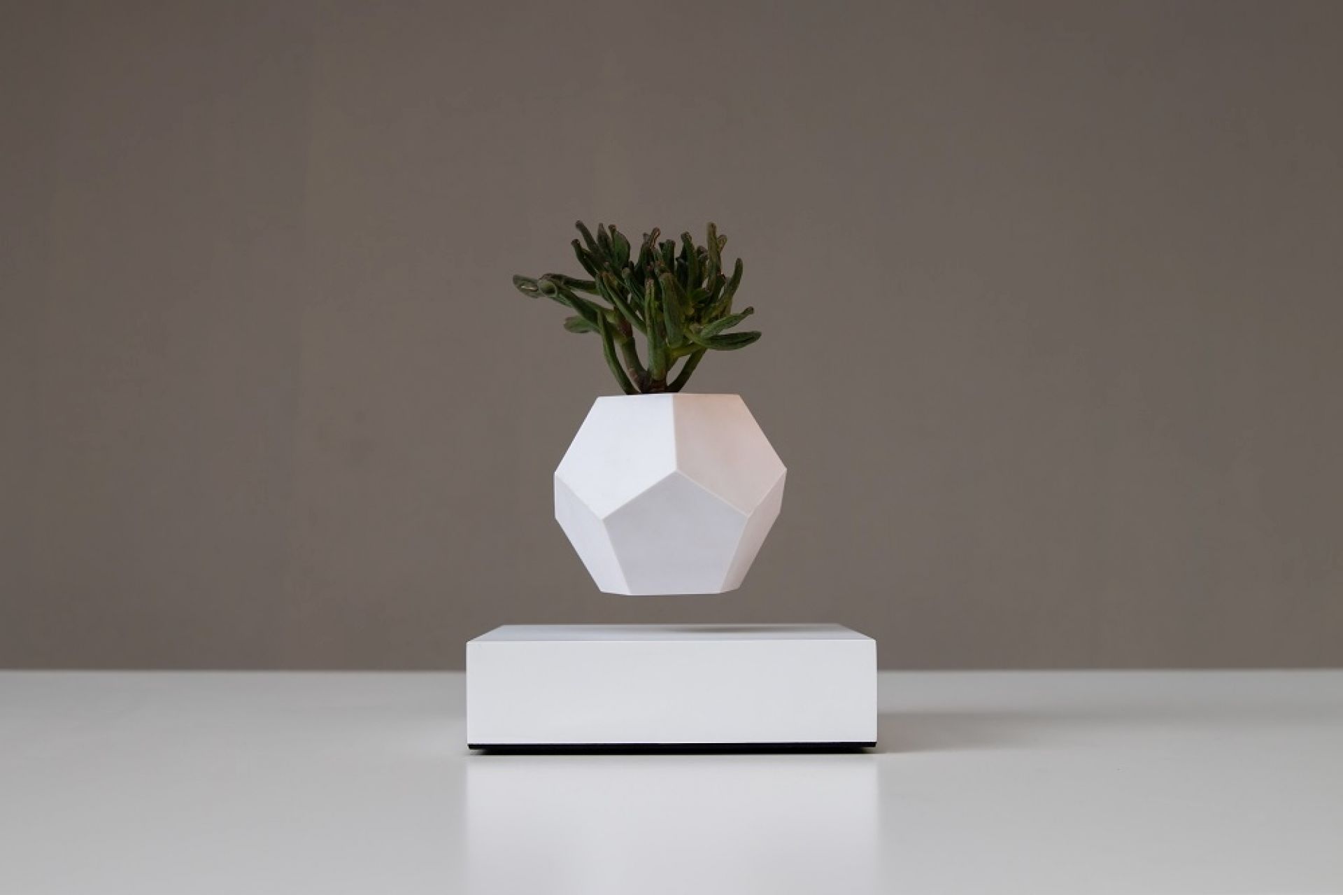 Lyfe flottant Vase Klein & More Bois d'érable blanc OFFRE SPECIALE