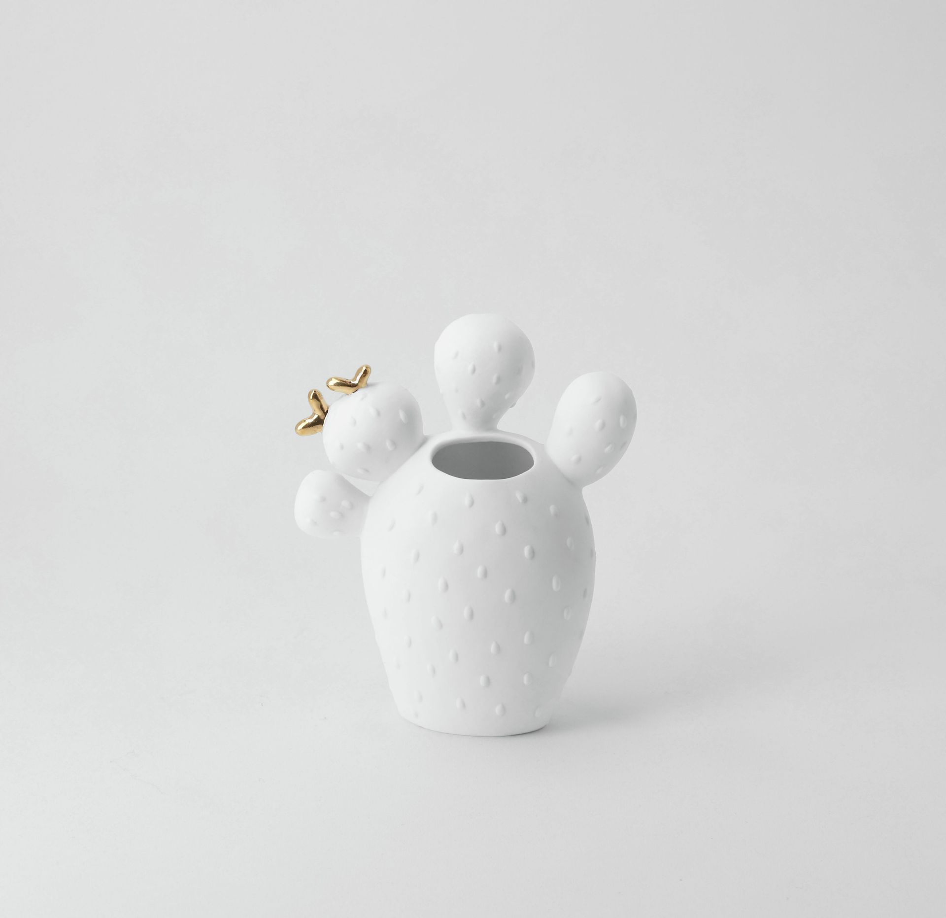 Vase cactus figue de barbarie Räder