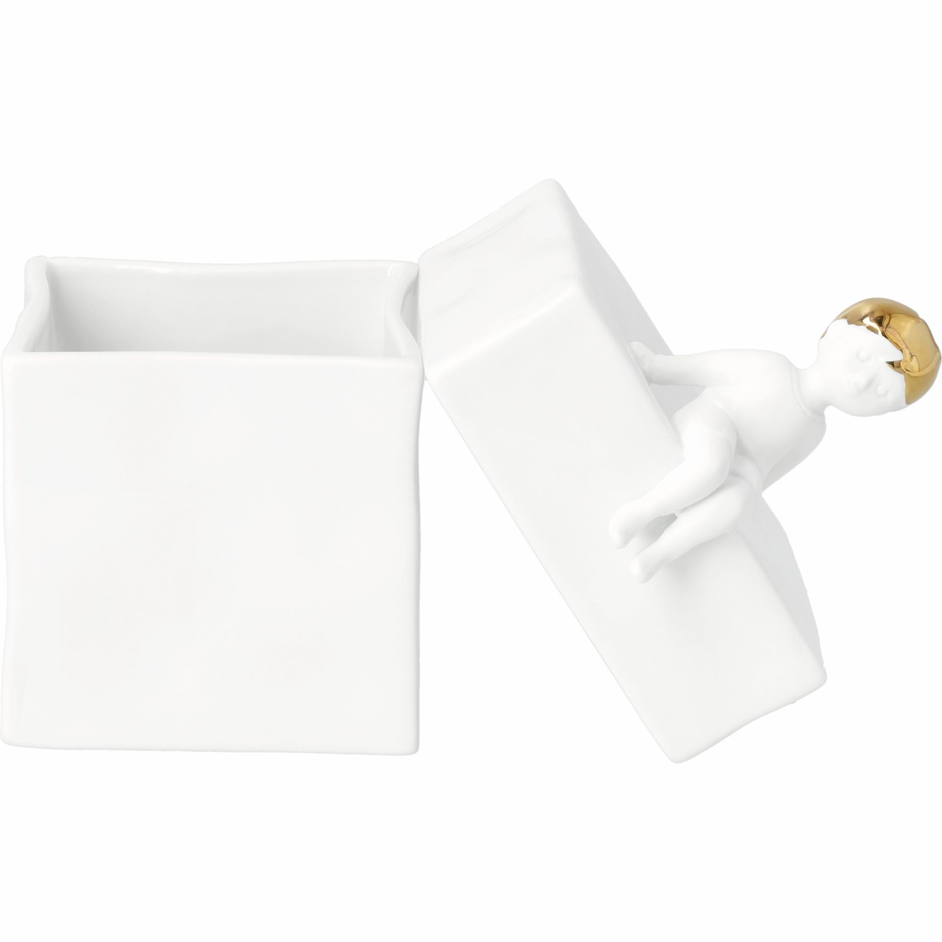 Boîte de Young Räder