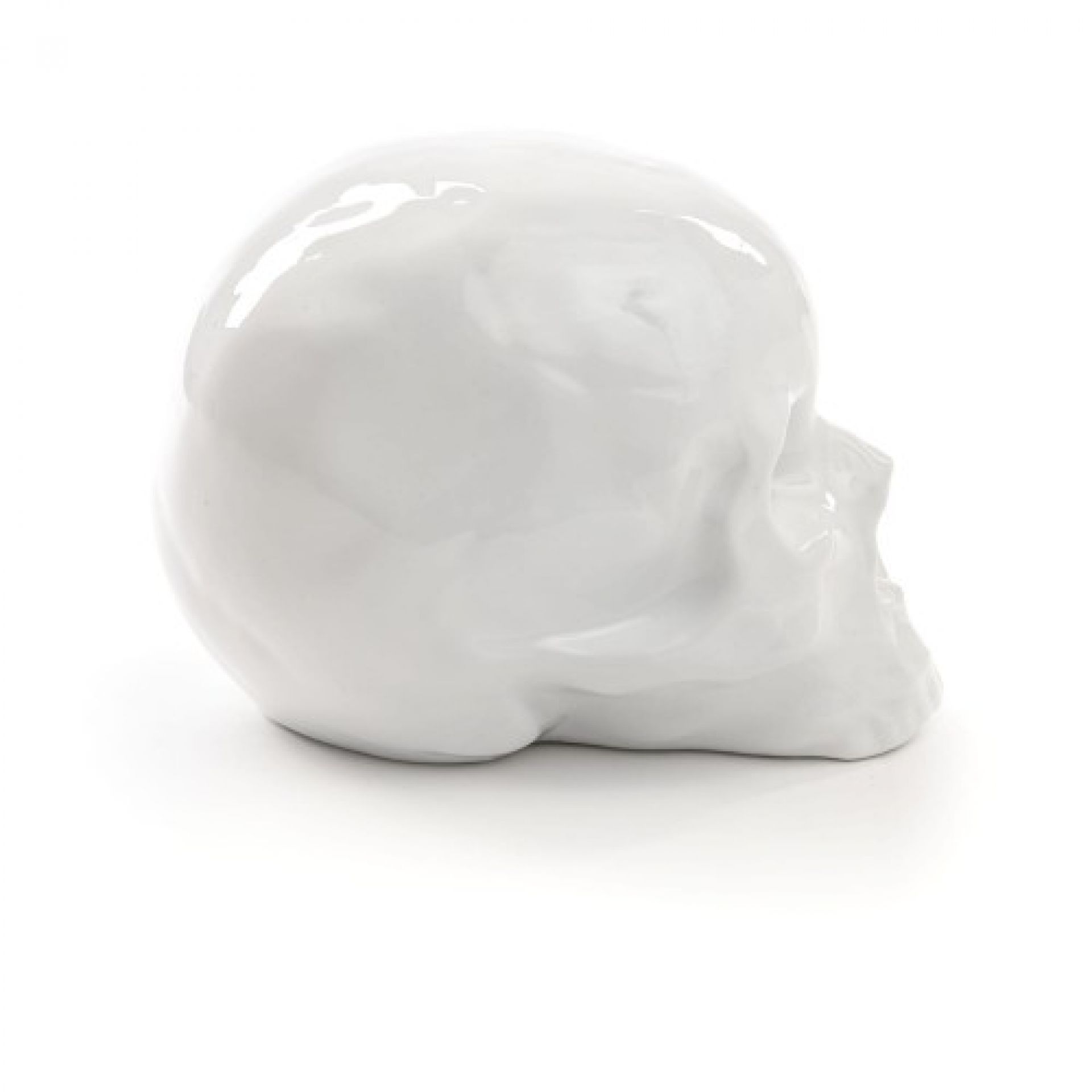 Memorabilia My Skull Sculpture Seletti OFFRE SPECIALE