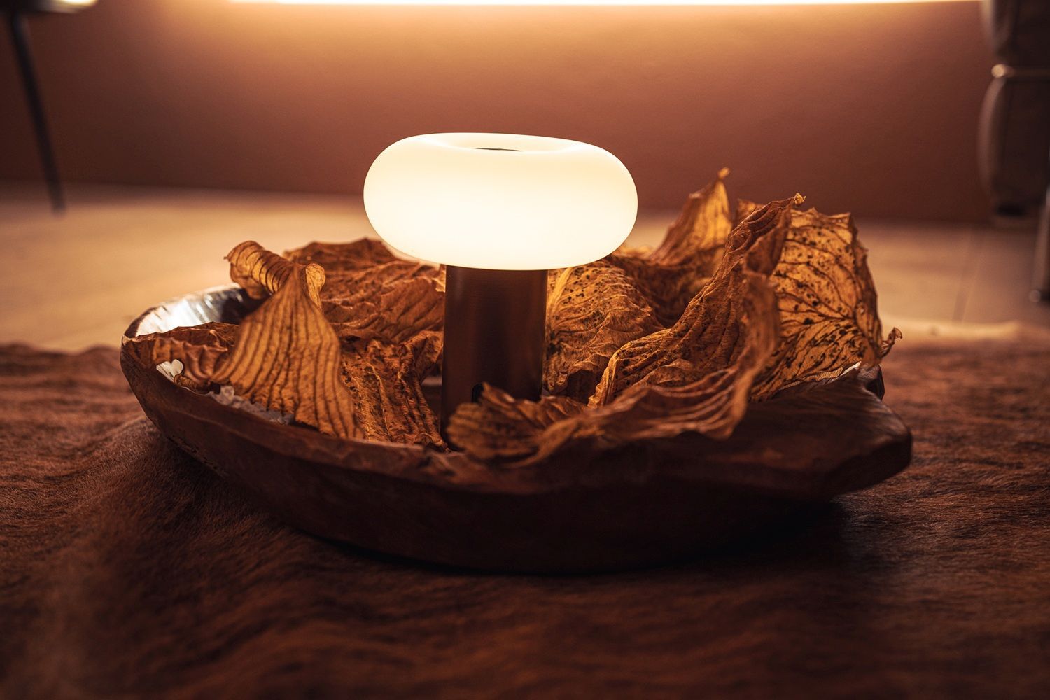 Oto Portable Lampe de table / Rechargeable lamp Belux