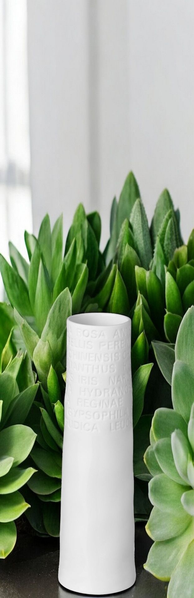 Maison Poésie d'intérieur Vase petit Räder OFFRE SPECIALE
