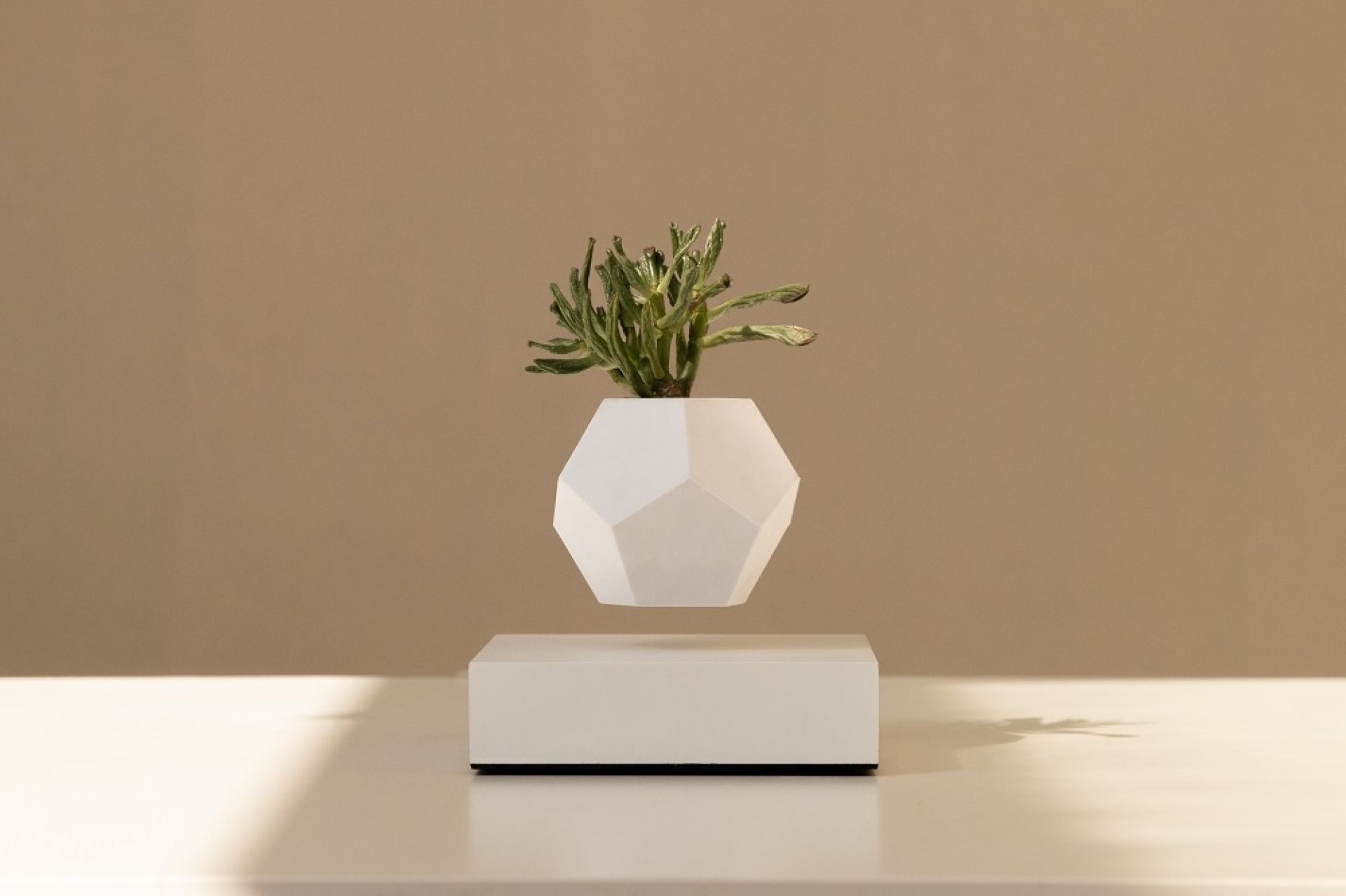 Lyfe flottant Vase Klein & More Bois d'érable blanc OFFRE SPECIALE