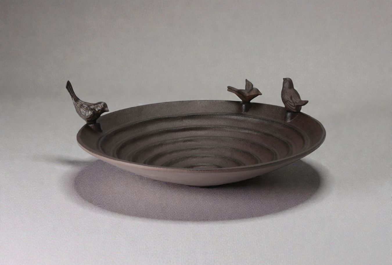 Pool mangeoire à oiseaux Philippi