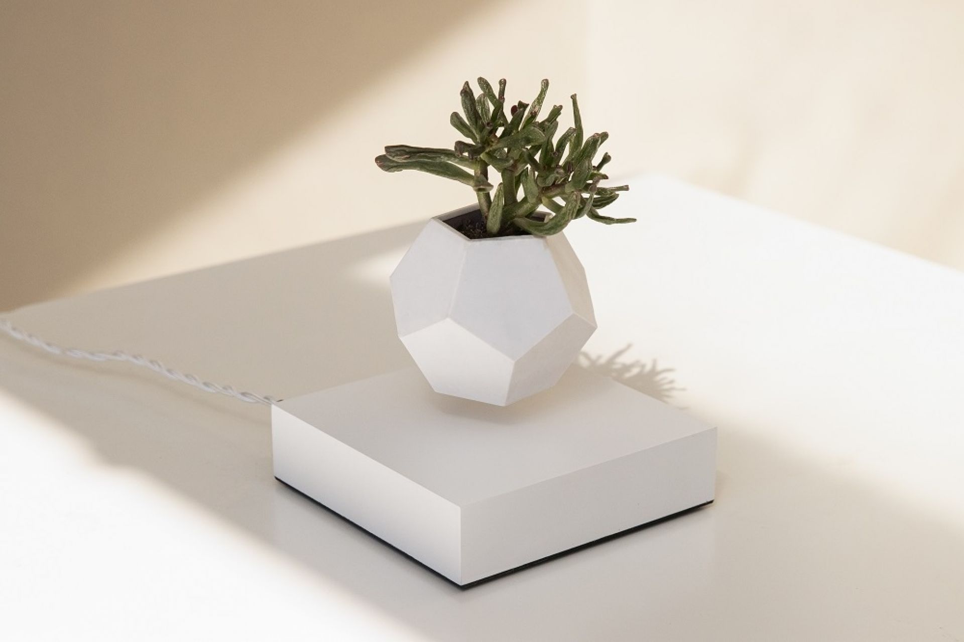 Lyfe flottant Vase Klein & More Bois d'érable blanc OFFRE SPECIALE