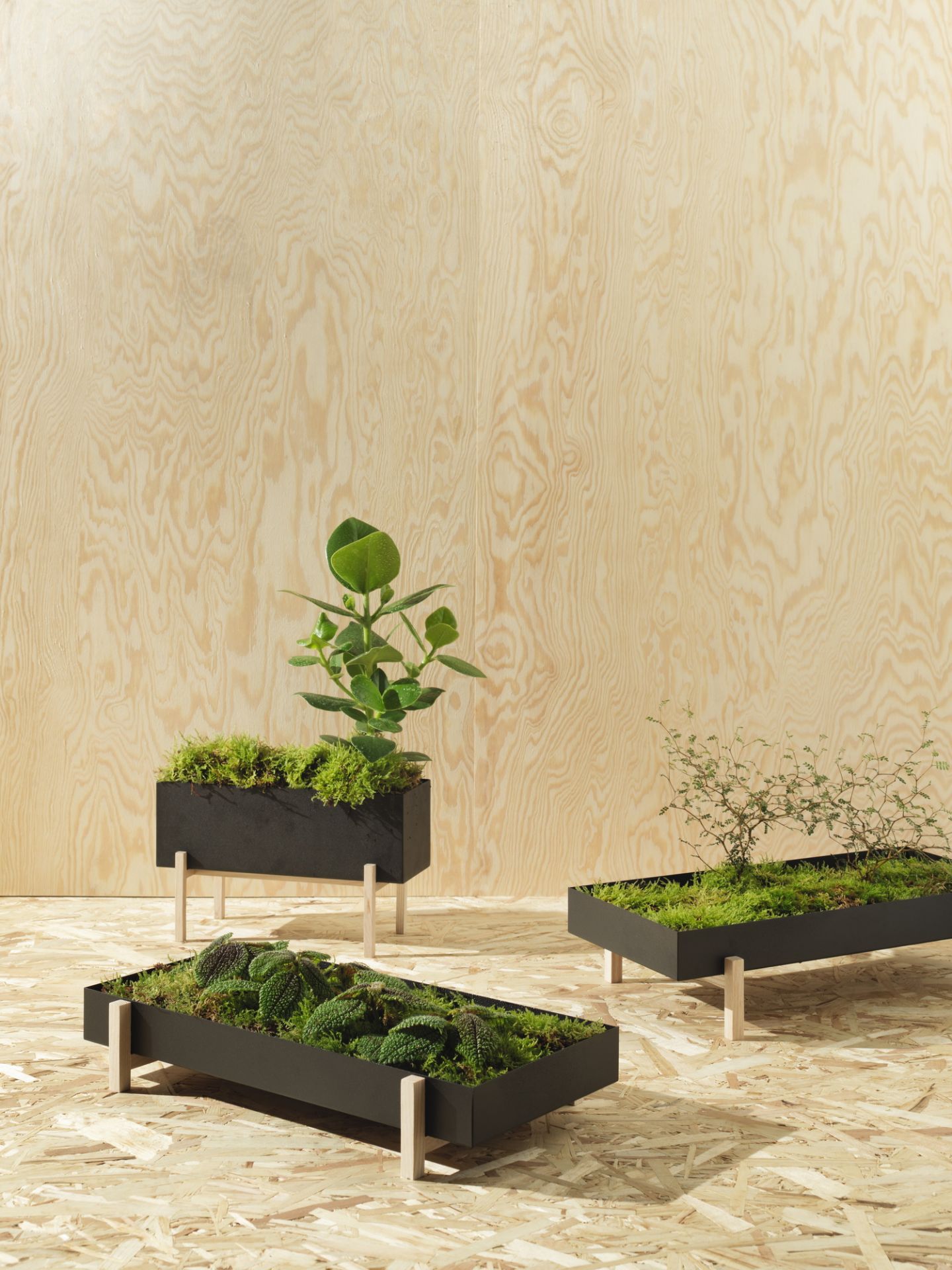 Botanic Boîte à herbes Design House Stockholm OFFRE SPECIALE