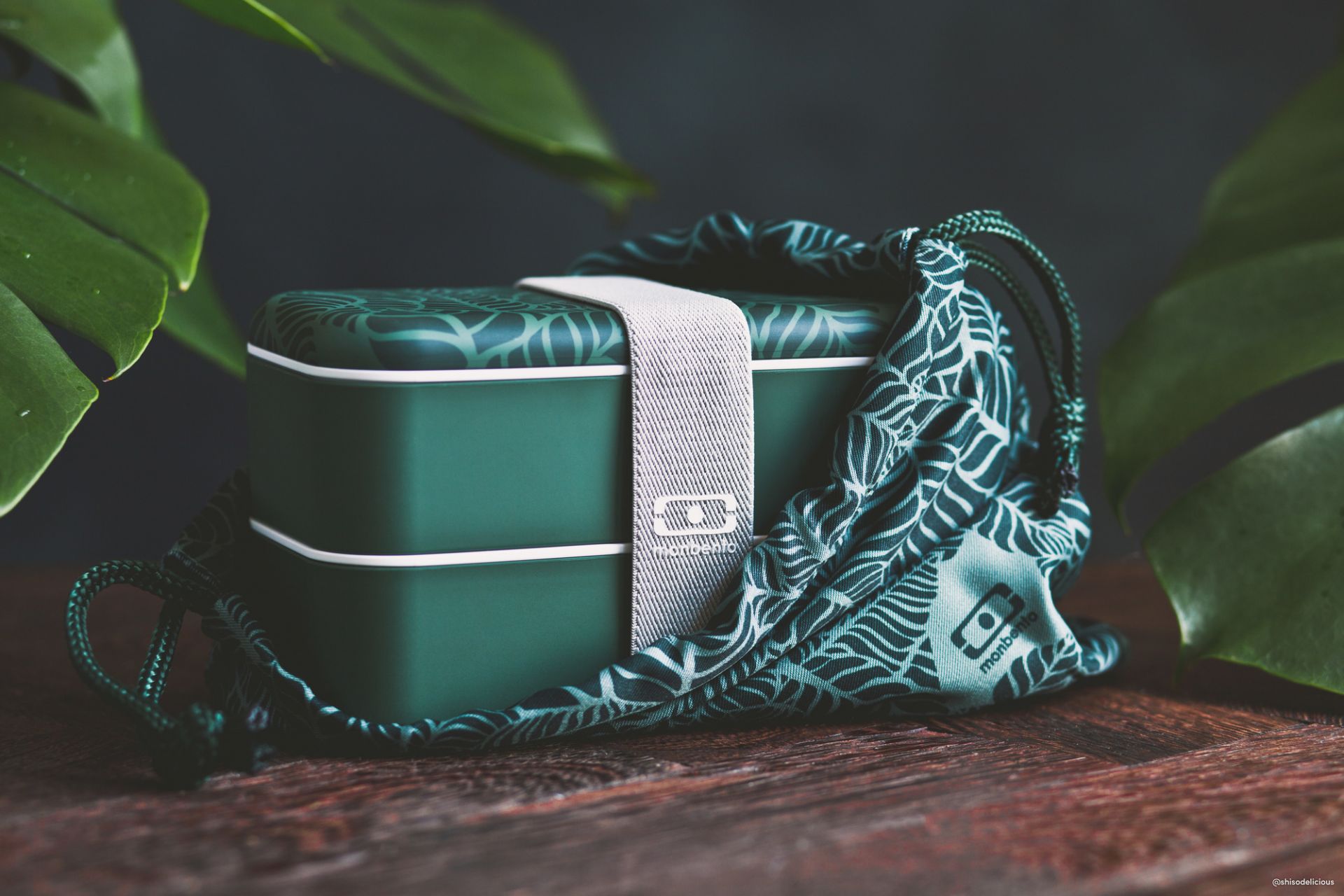 MB Original Jungle Lunch Box Monbento OFFRE SPECIALE