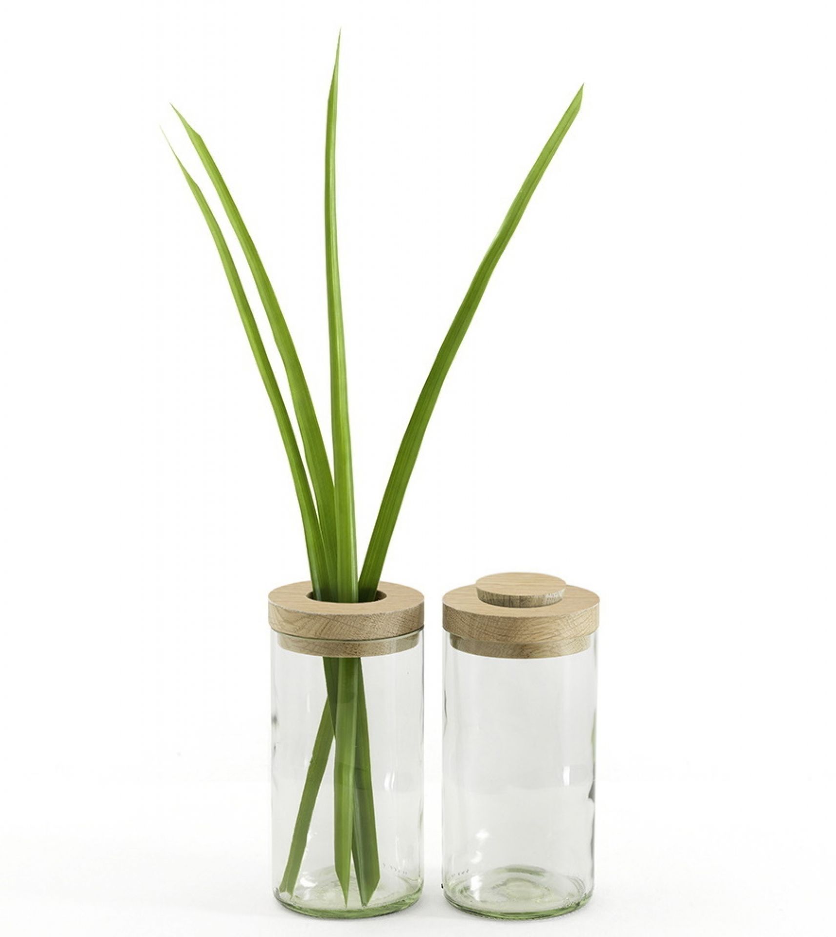 Vase &amp; Boîte Side by Side clair OFFRE SPECIALE