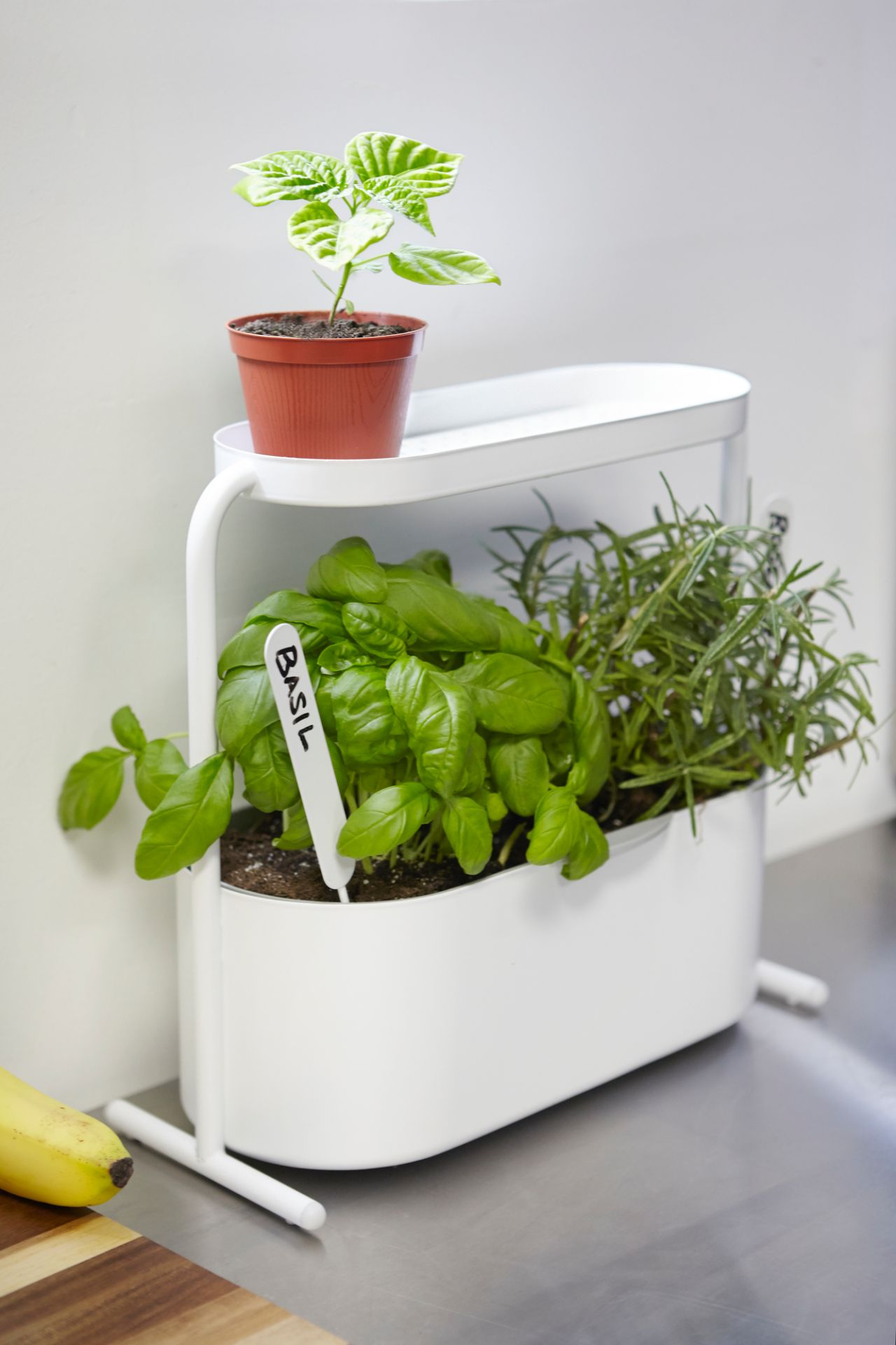 Giardino Pot à base de plantes Umbra OFFRE SPECIALE