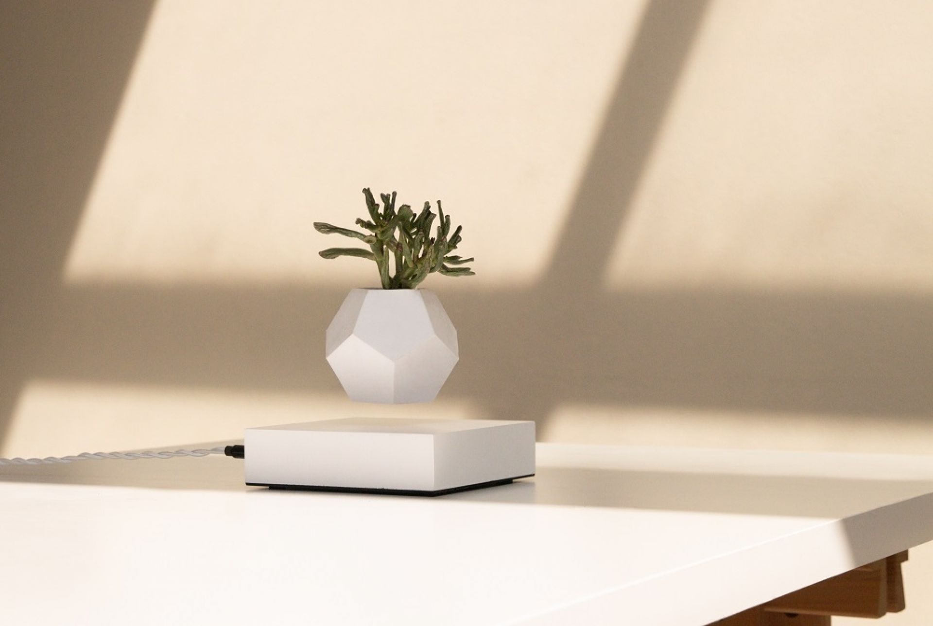 Lyfe flottant Vase Klein & More Bois d'érable blanc OFFRE SPECIALE