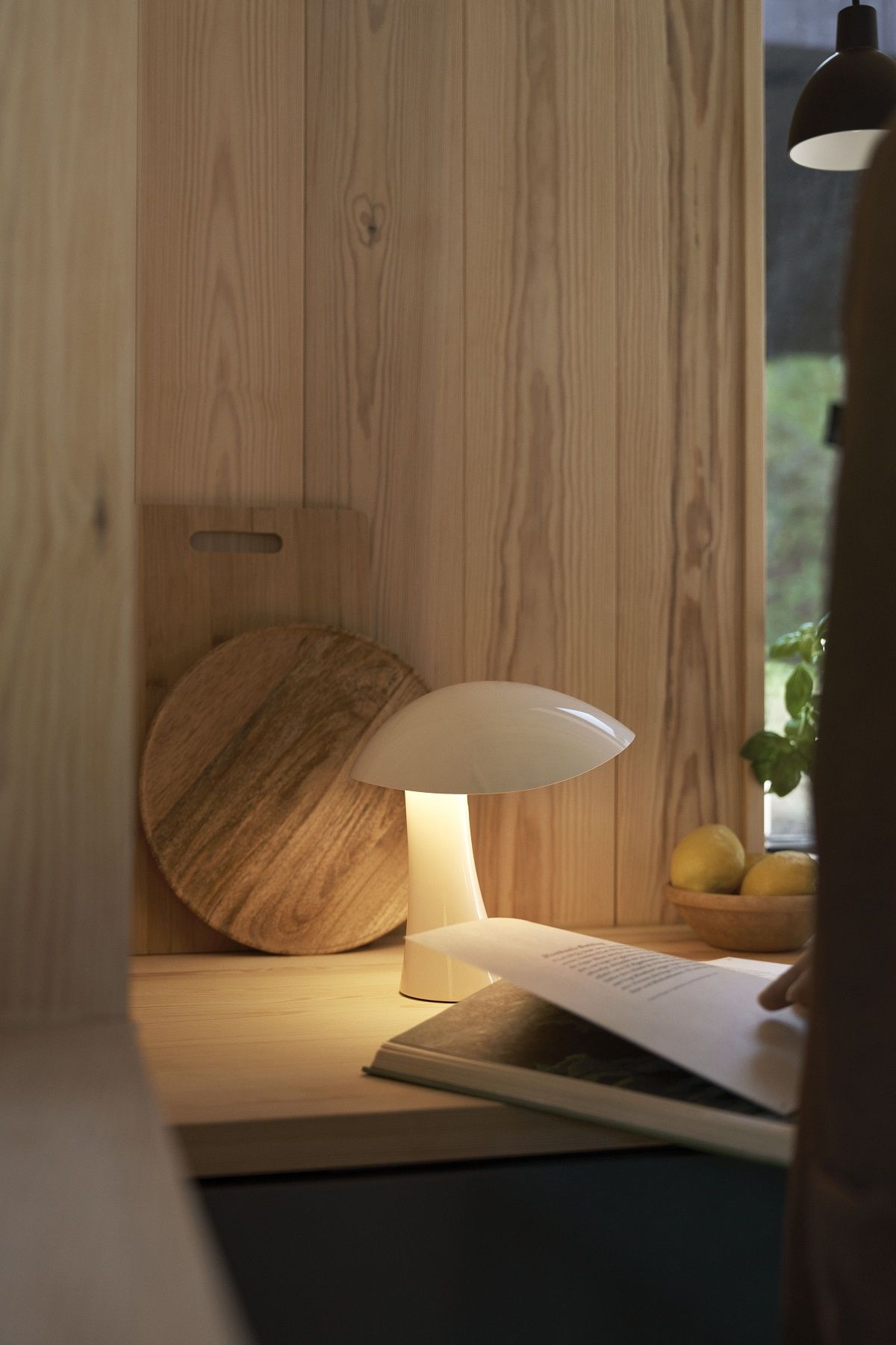Rumee 220 Portable Indoor / Outdoor Lampe à batterie Louis Poulsen