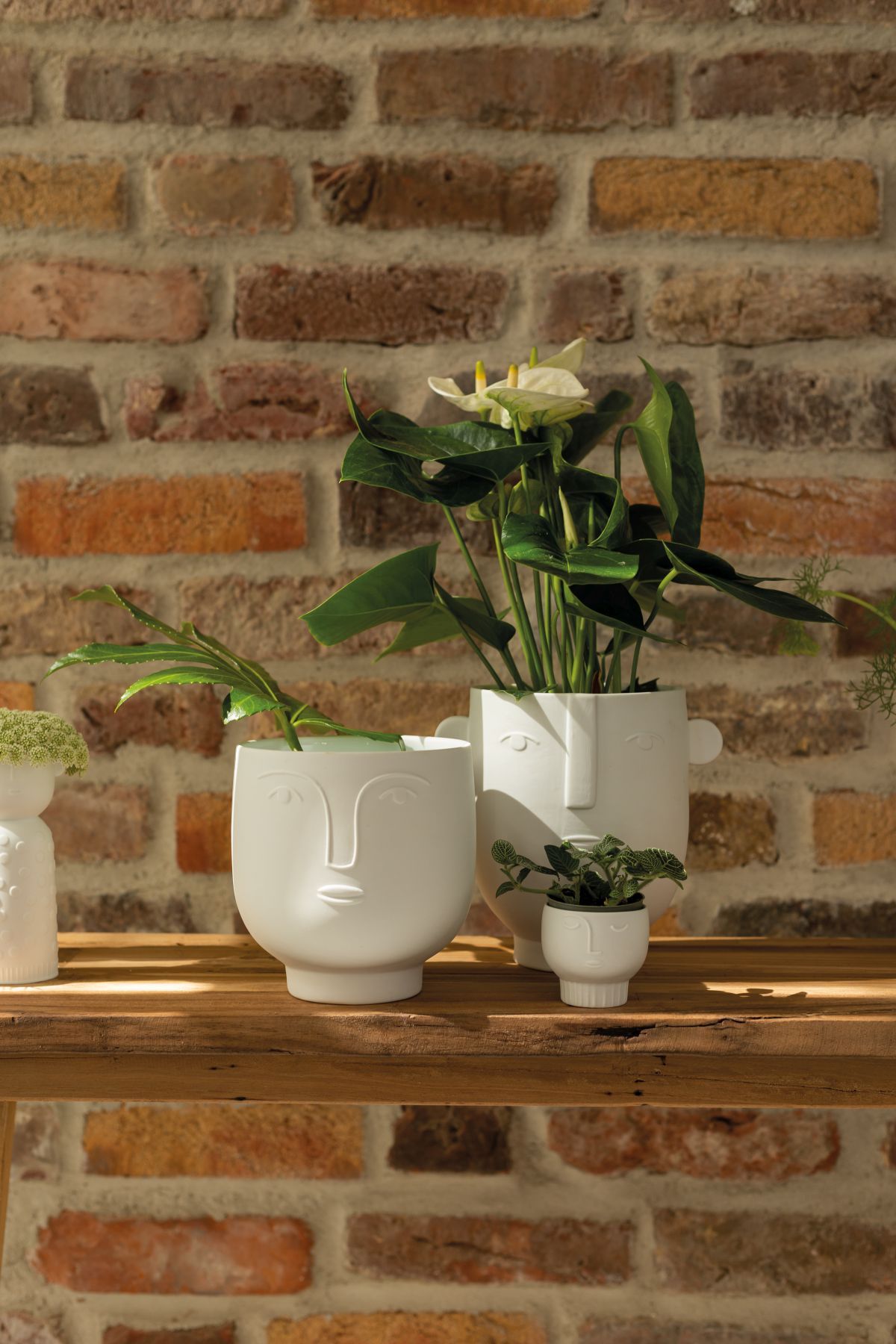 Création de la nature Vase Flora Roues
