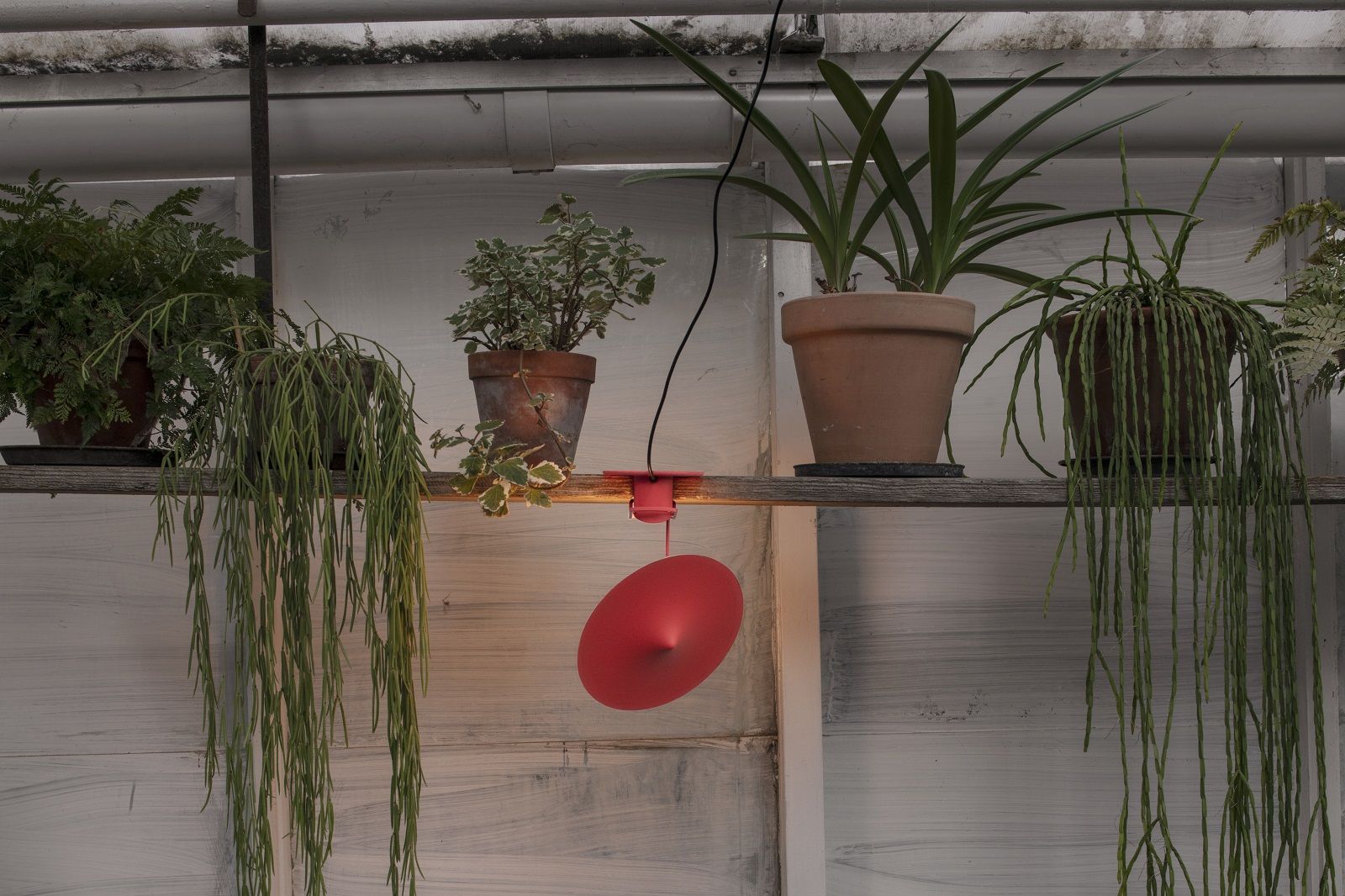 w153 Île lampe à pince / lampe de lecture wästberg