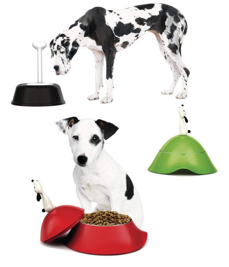 Lula AMMI19 Gamelle pour chien avec couverture Rouge Alessi OFFRE SPECIALE