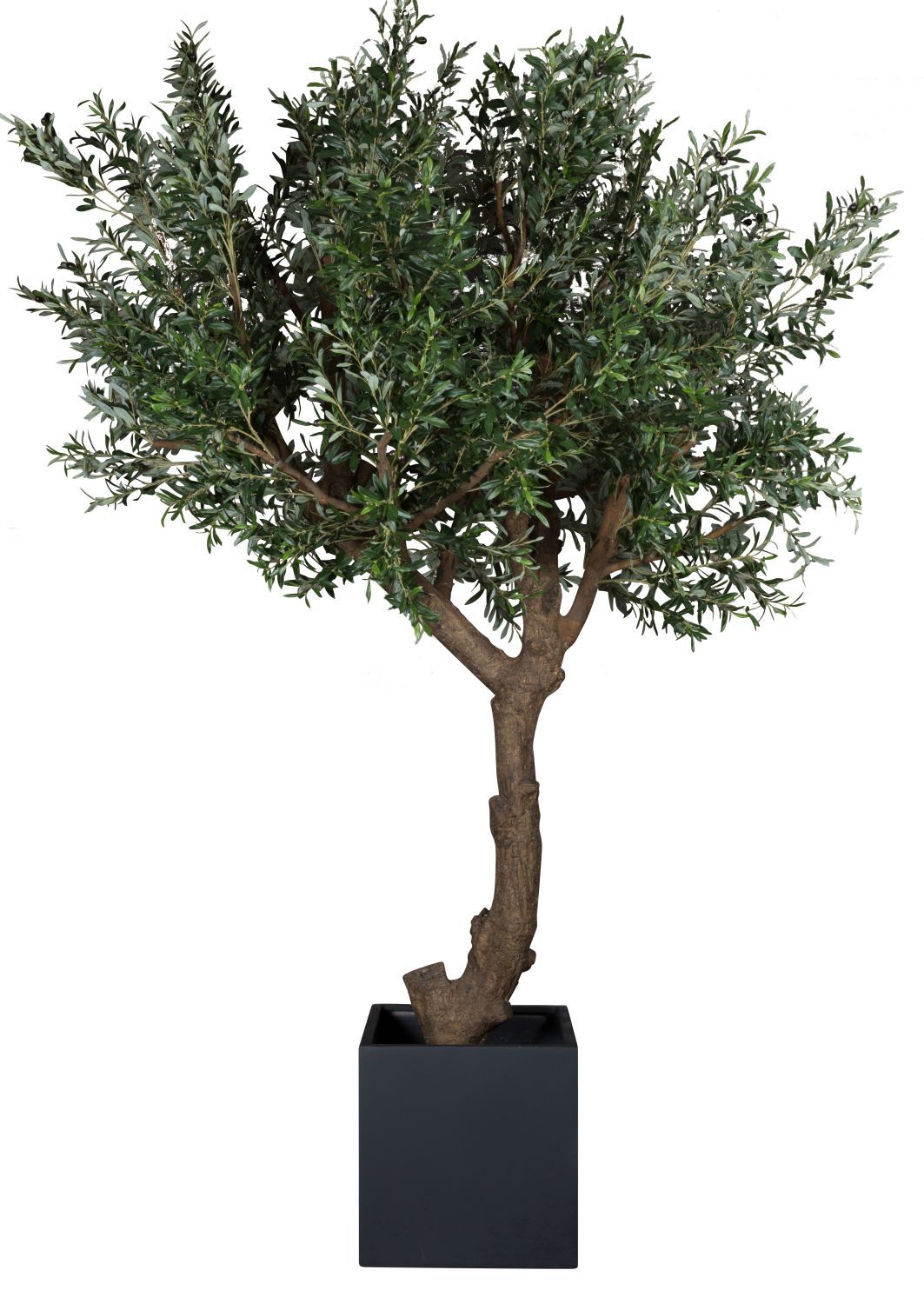 Taiga Olive Tree 270 (olivier) Plante artificielle Tanaman    