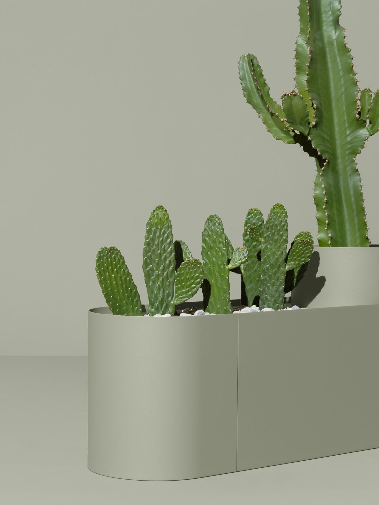 Plant Here Boîte à plantes / pot de fleurs Mizetto QUICK SHIP