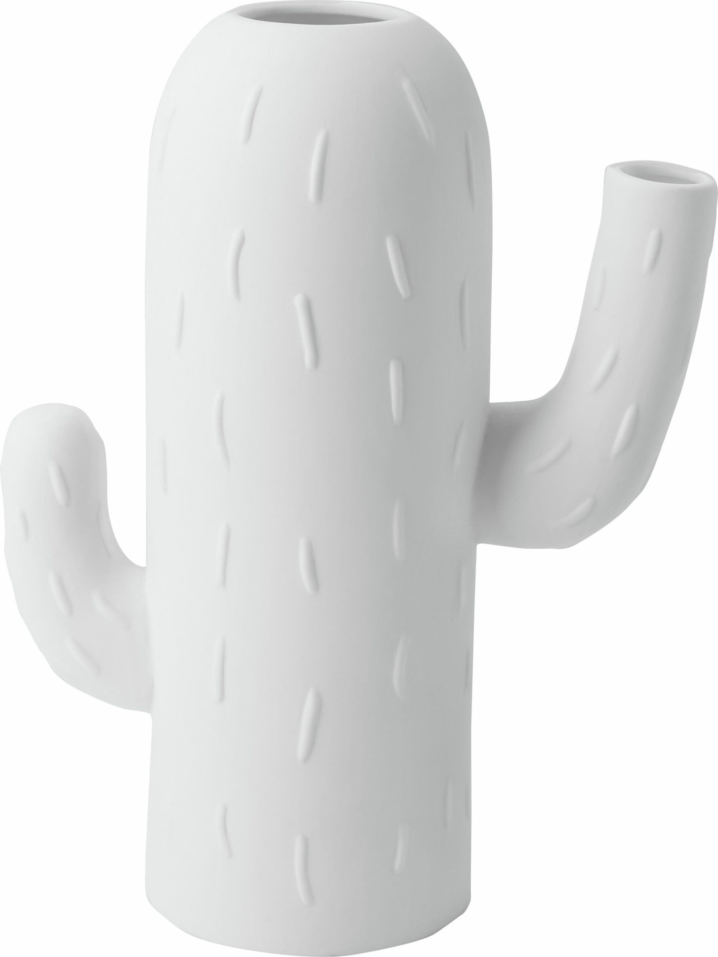 Vase cactus Colonne cactus Roues