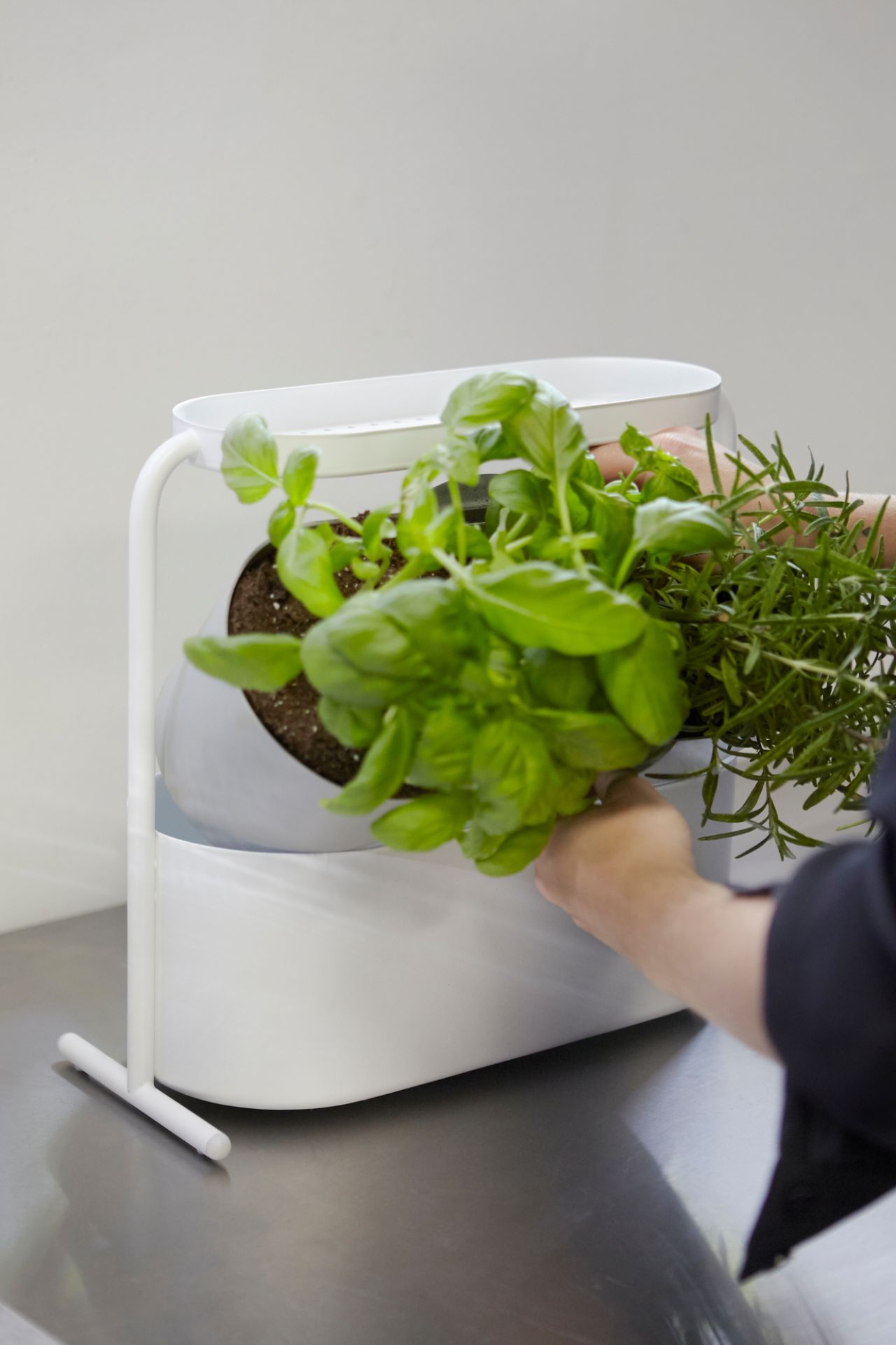 Giardino Pot à base de plantes Umbra OFFRE SPECIALE