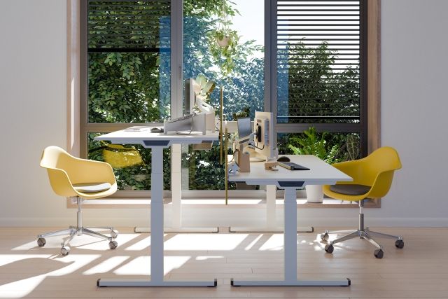 PiD Table assise/debout Palmberg