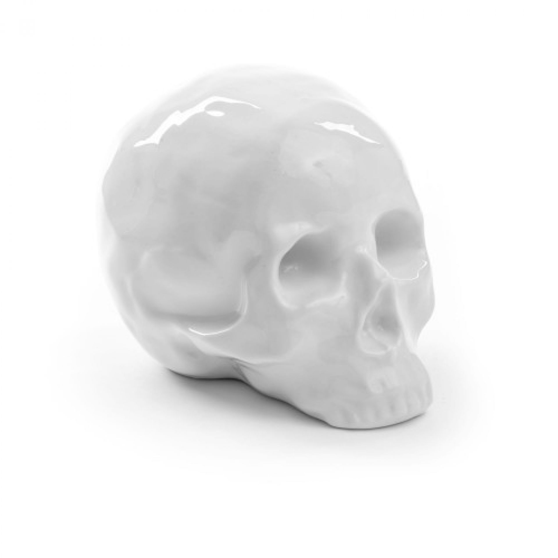 Memorabilia My Skull Sculpture Seletti OFFRE SPECIALE