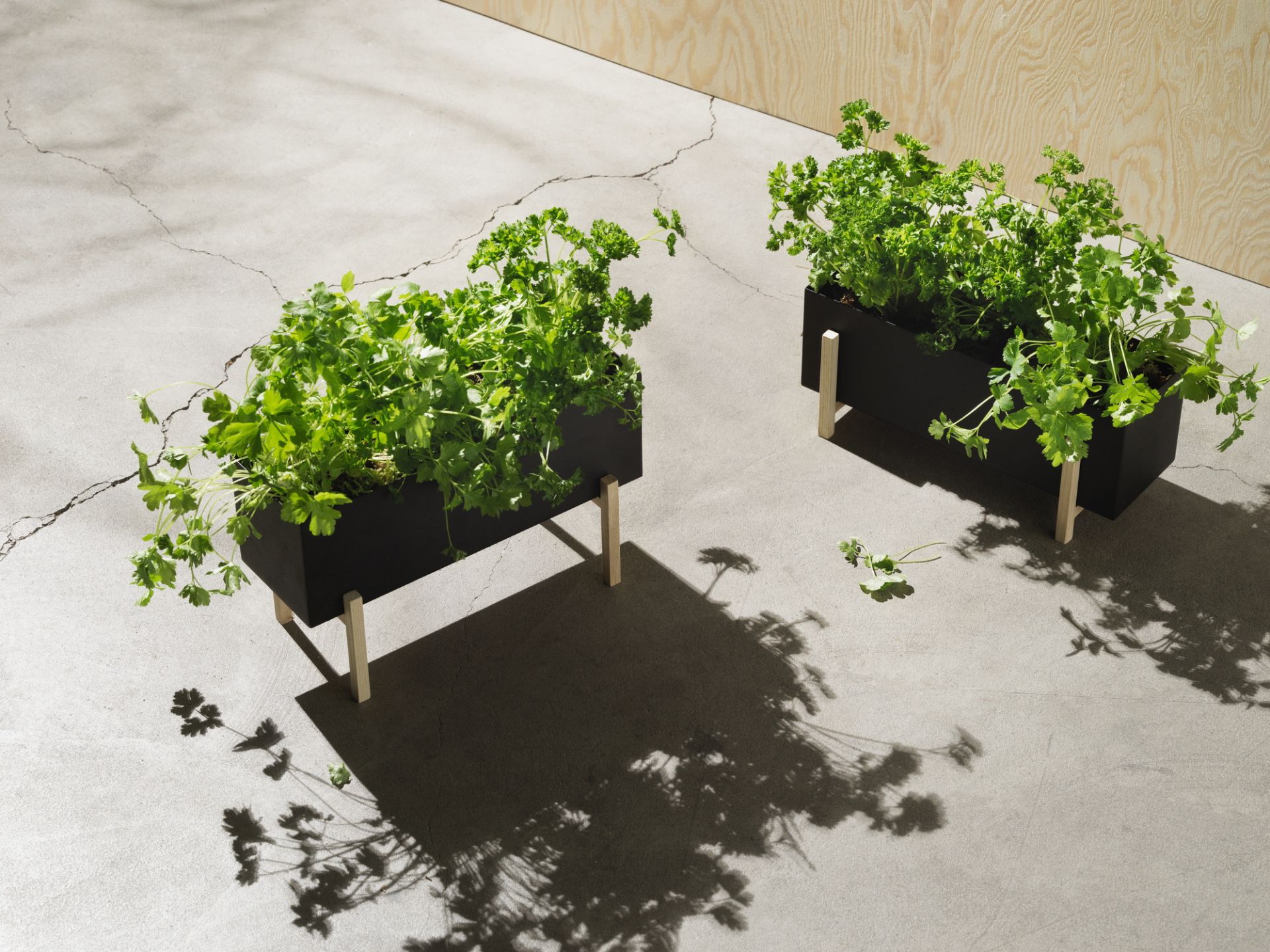 Botanic Boîte à herbes Design House Stockholm OFFRE SPECIALE