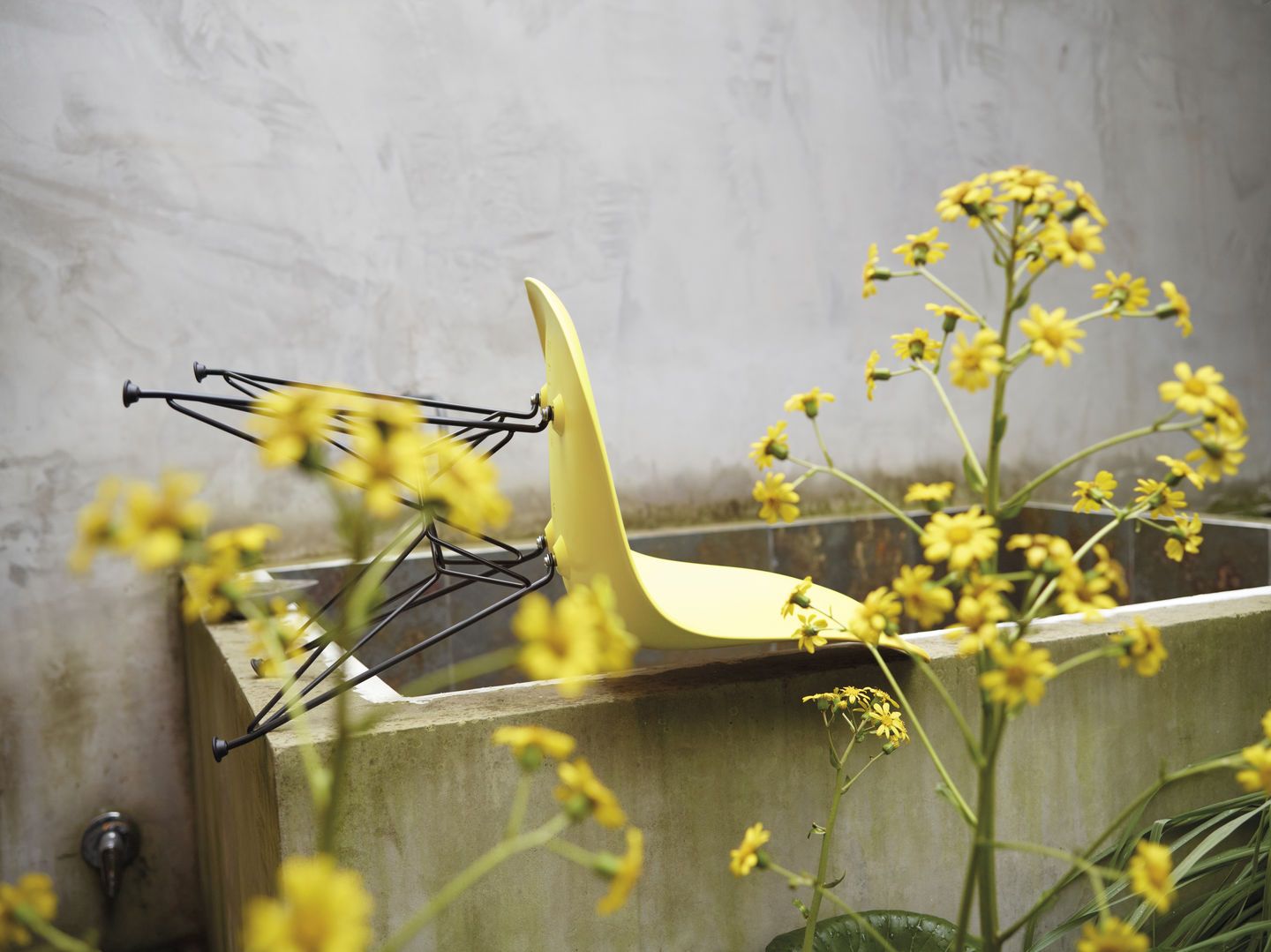 Eames Fiberglass Chair DSR chaise Vitra