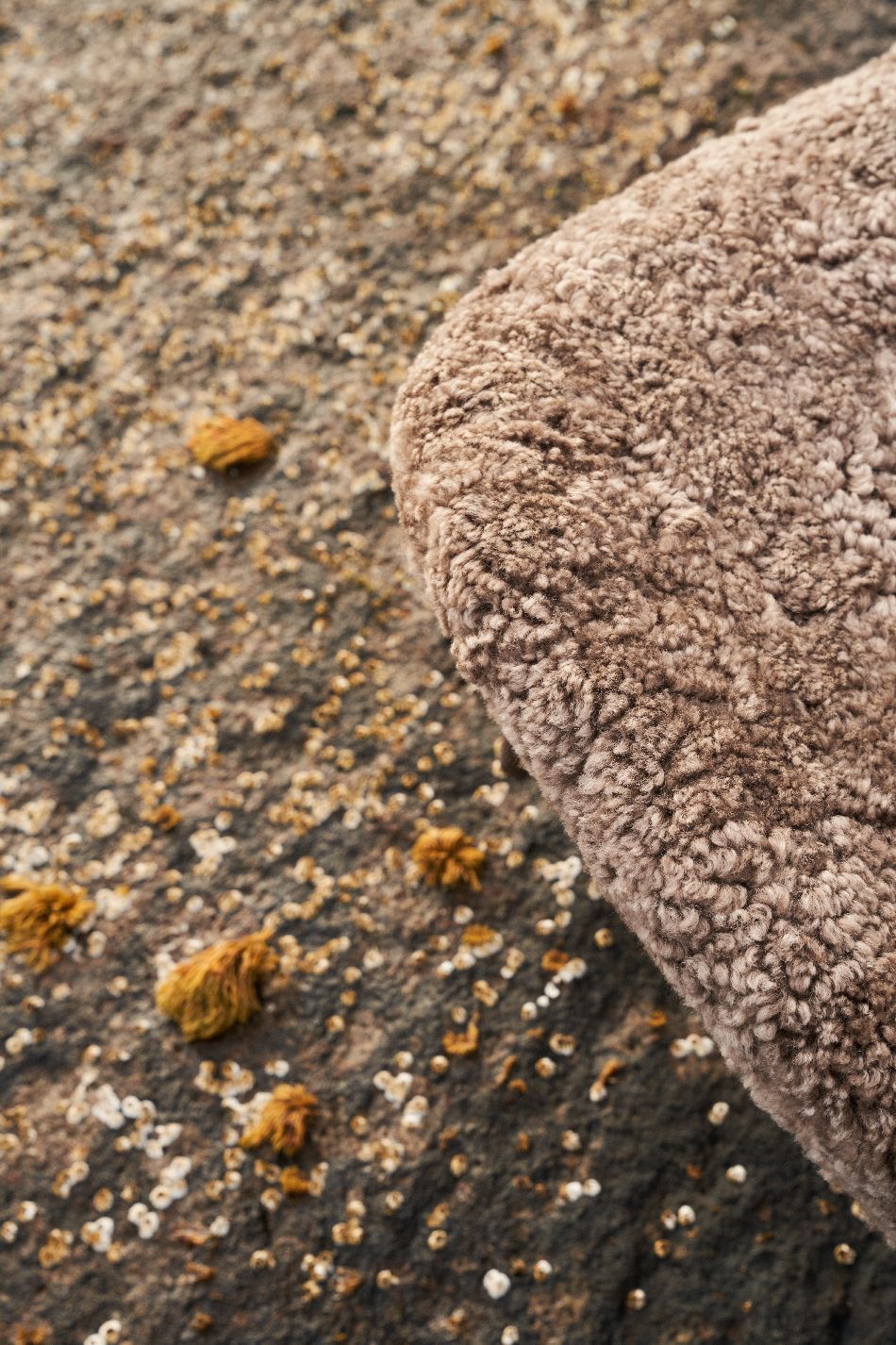 VIPP496 / VIPP 496 Lodge Lounge Chair, Low Back fauteuil bas Vipp