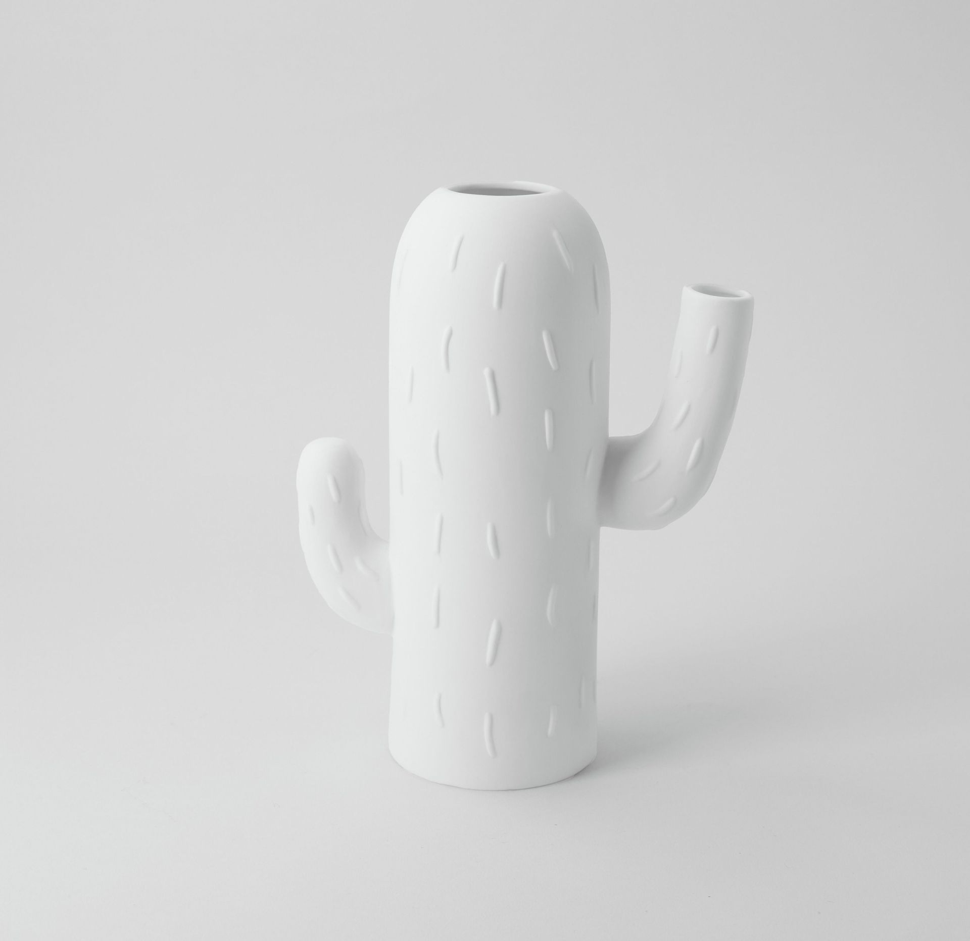 Vase cactus Colonne cactus Roues