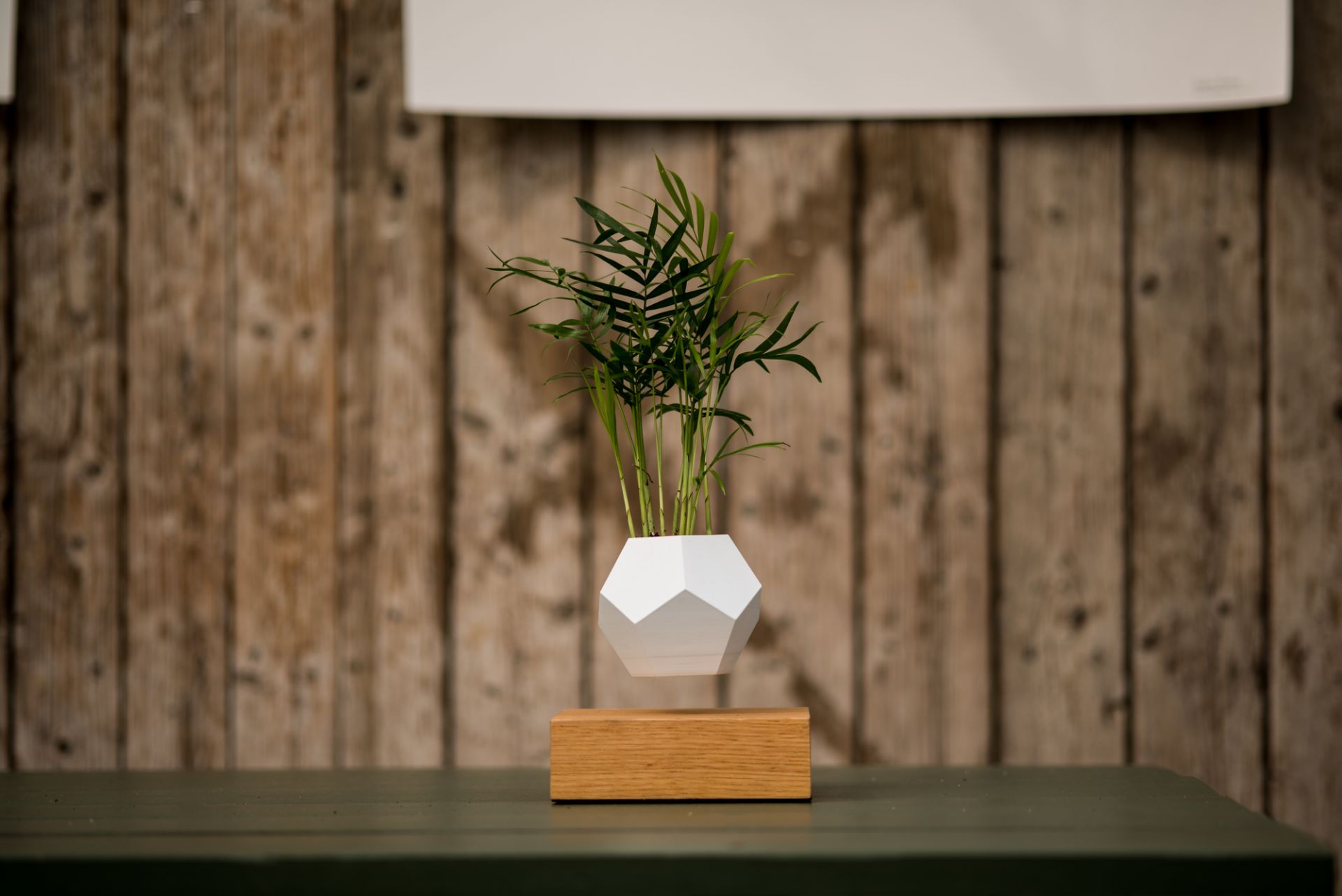 Lyfe vase flottant PIED AHRON NOIR / POT BLANC Klein & More PIÈCE UNIQUE