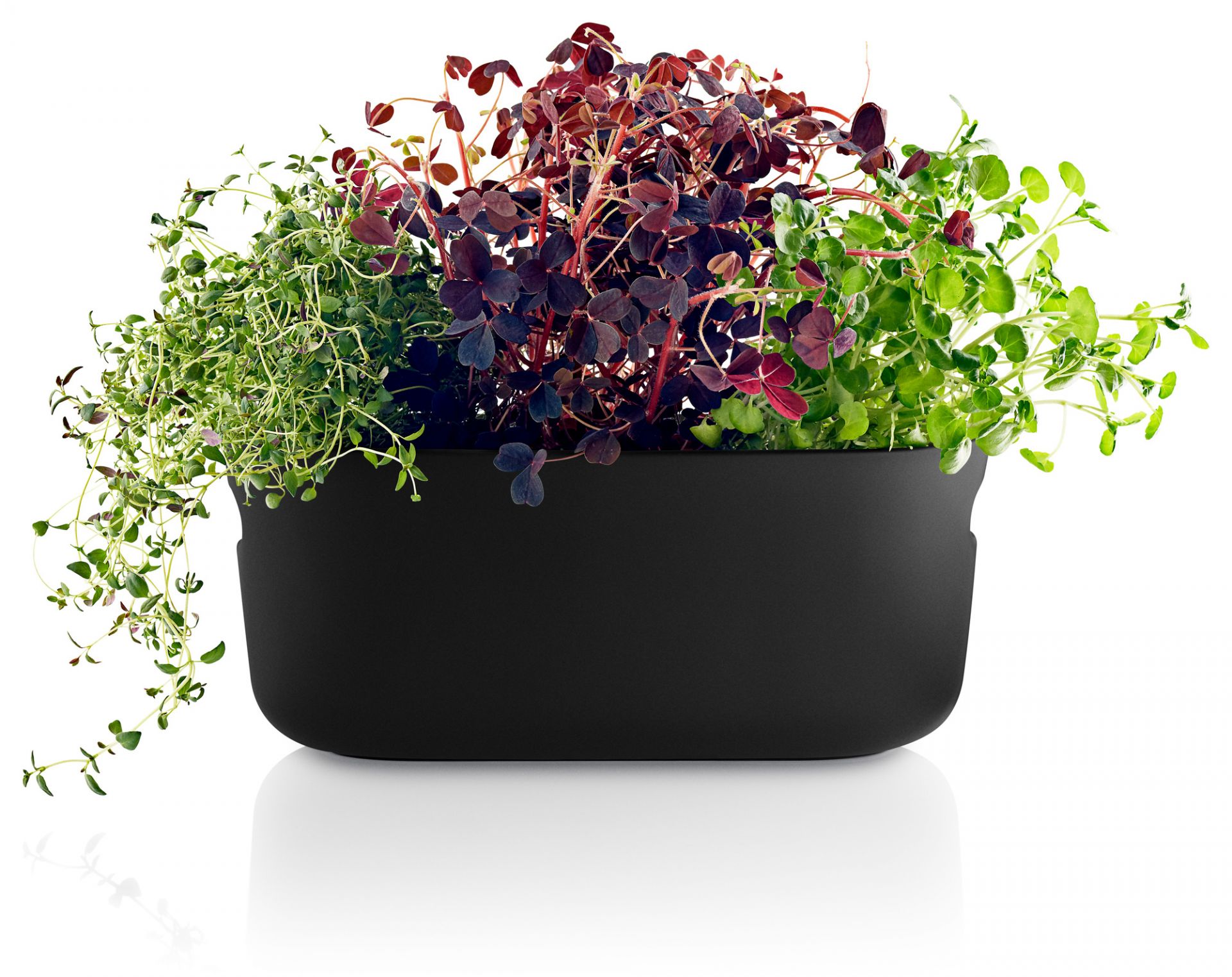 Herb-Organiser auto-arrosant Eva Solo OFFRE SPECIALE