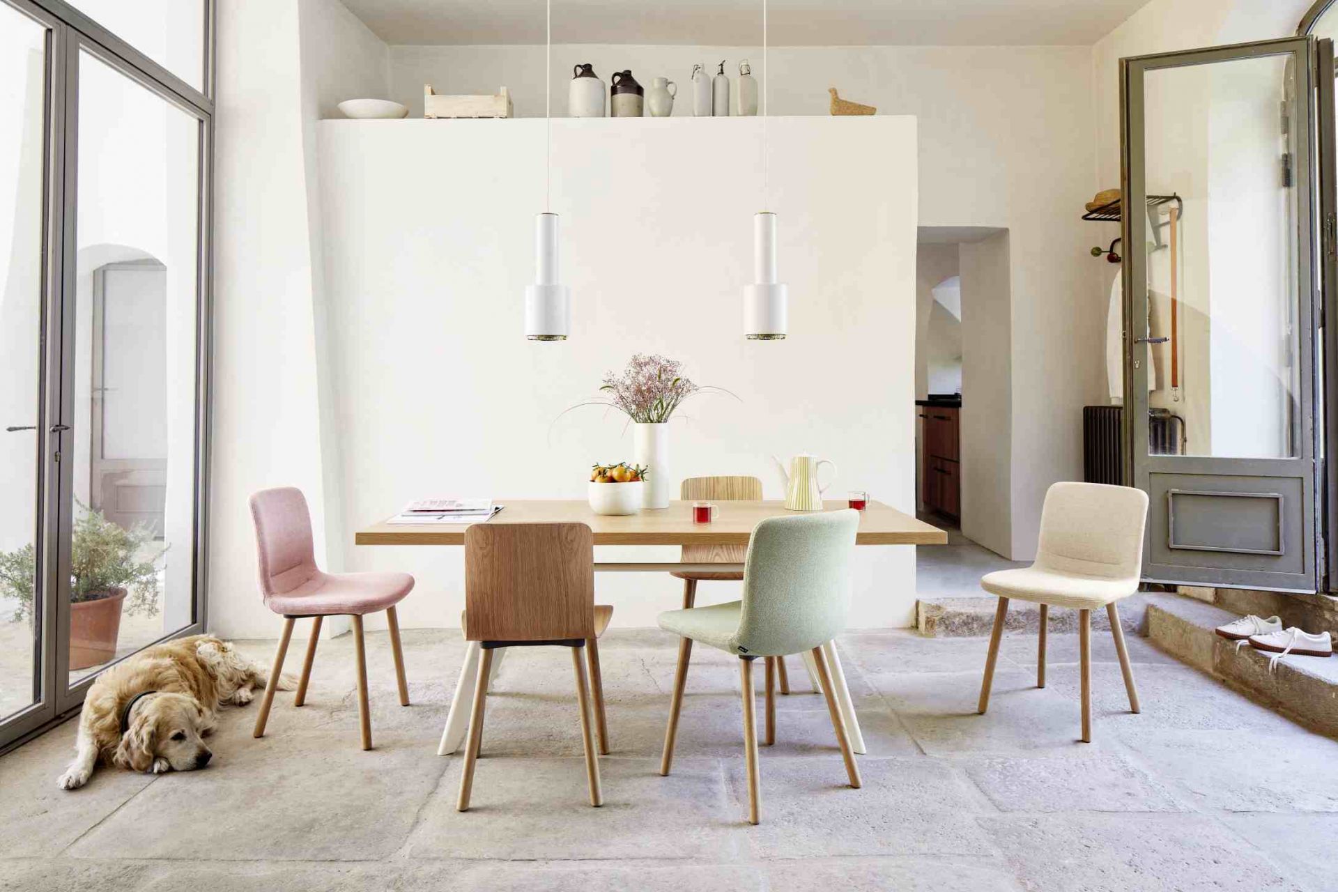L'Oiseau Colombe de la Paix Liège Vitra 