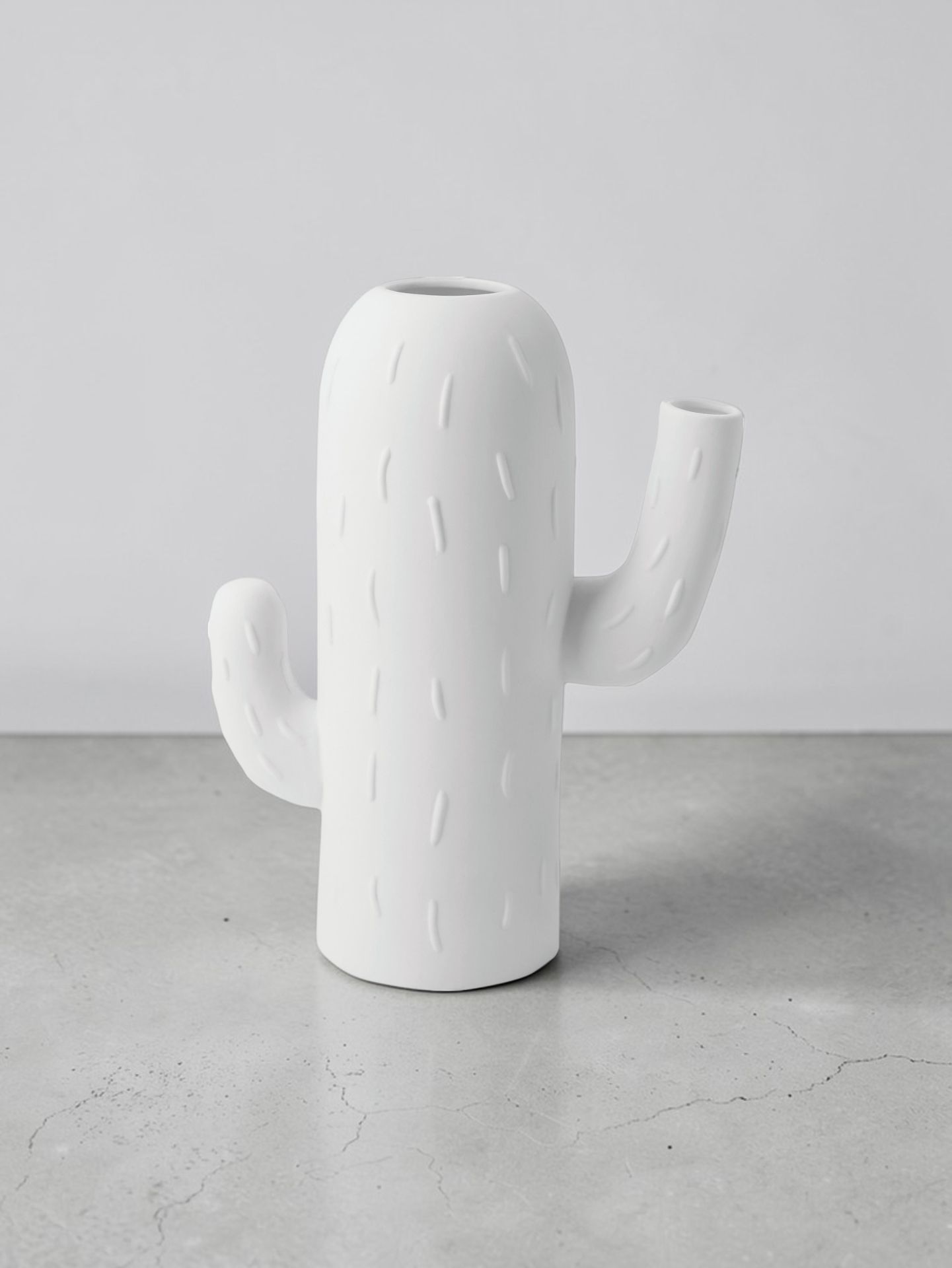 Vase cactus Colonne cactus Roues