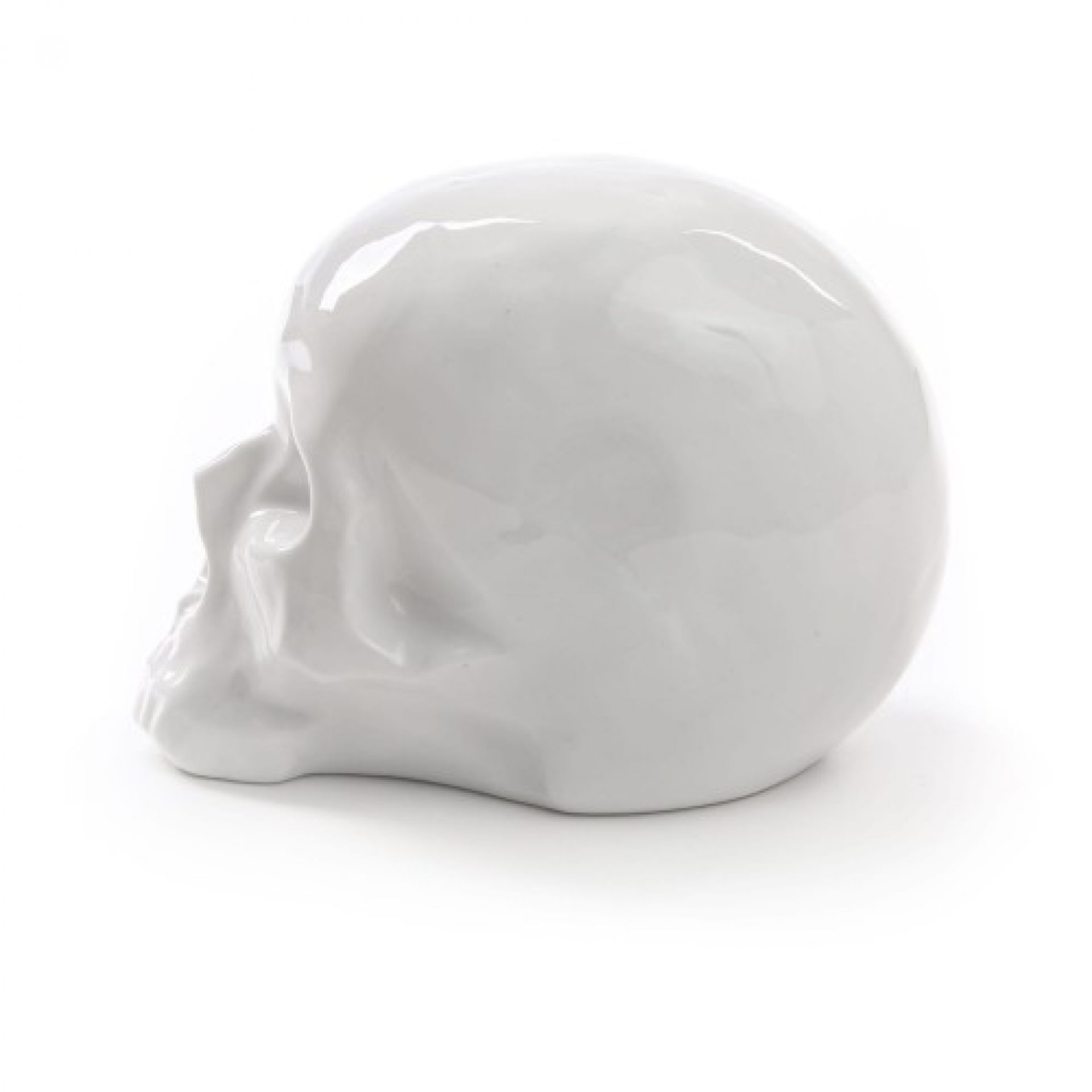 Memorabilia My Skull Sculpture Seletti OFFRE SPECIALE