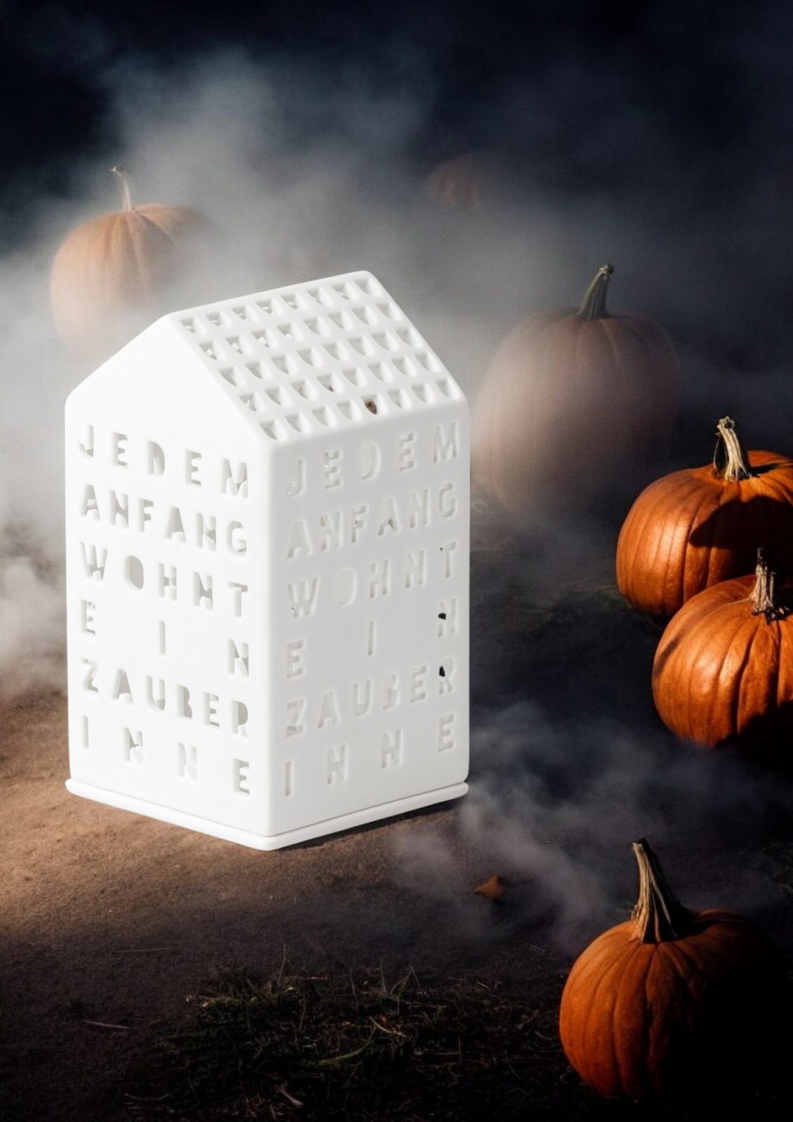 Maison de lumière Chaque début a son charme Räder