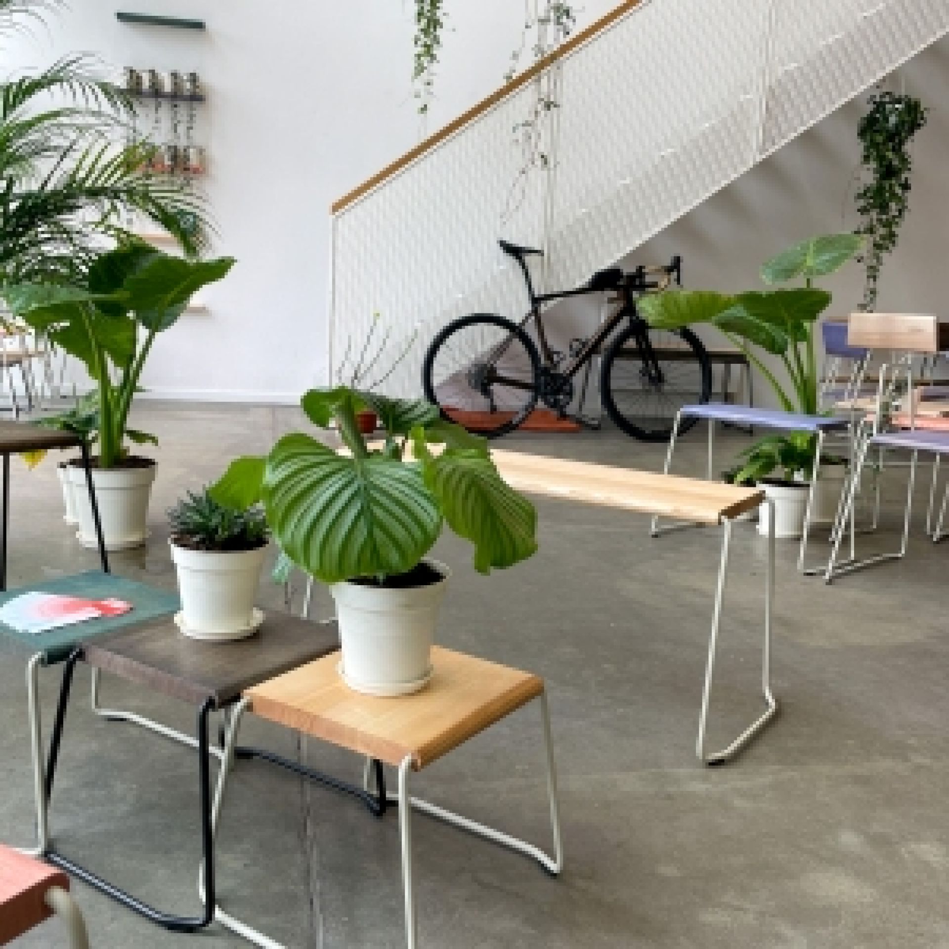 D:002 Table d'appoint Fuchs & Habicht