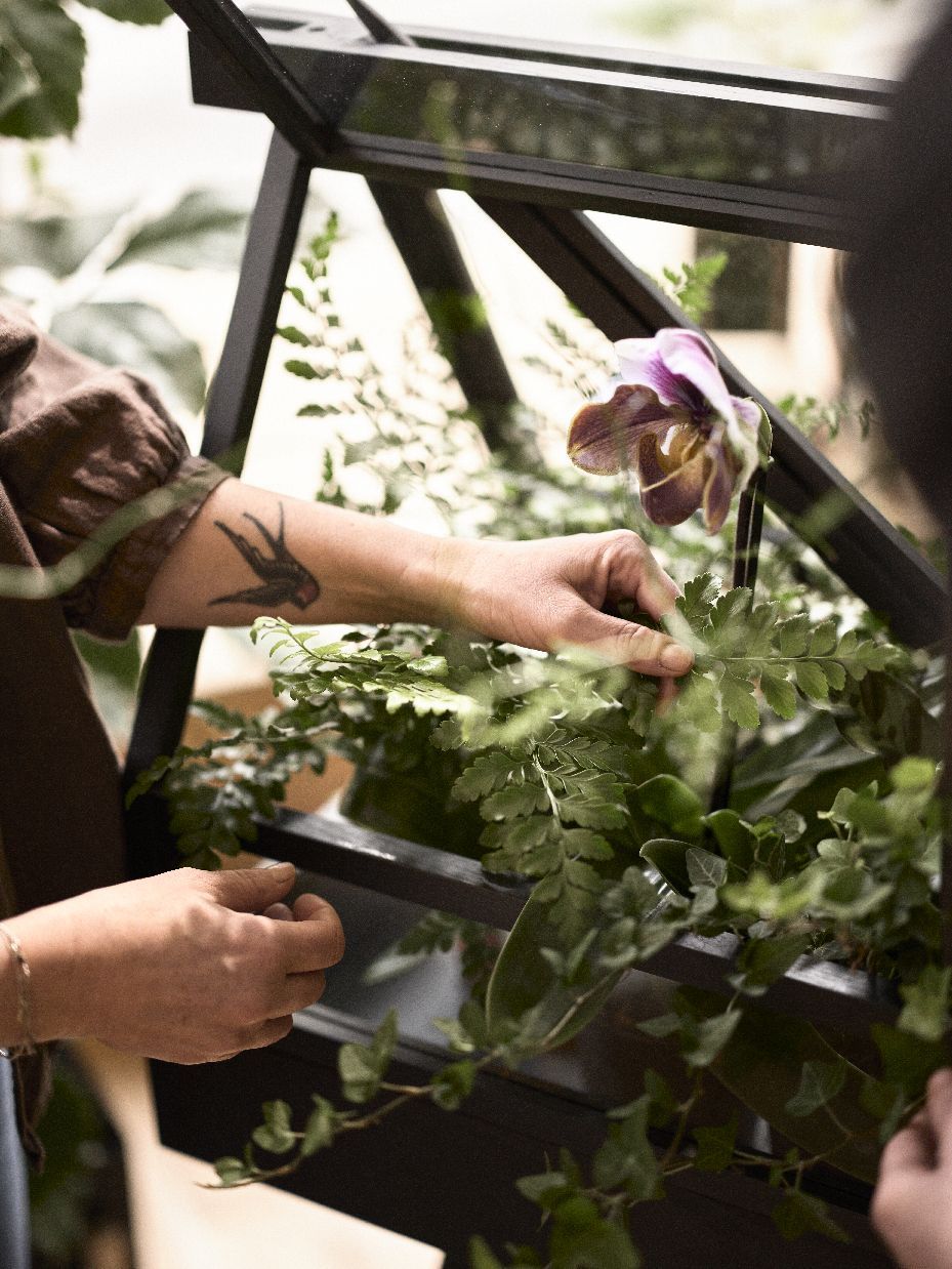 Serre Greenhouse Design House Stockholm frêne foncé