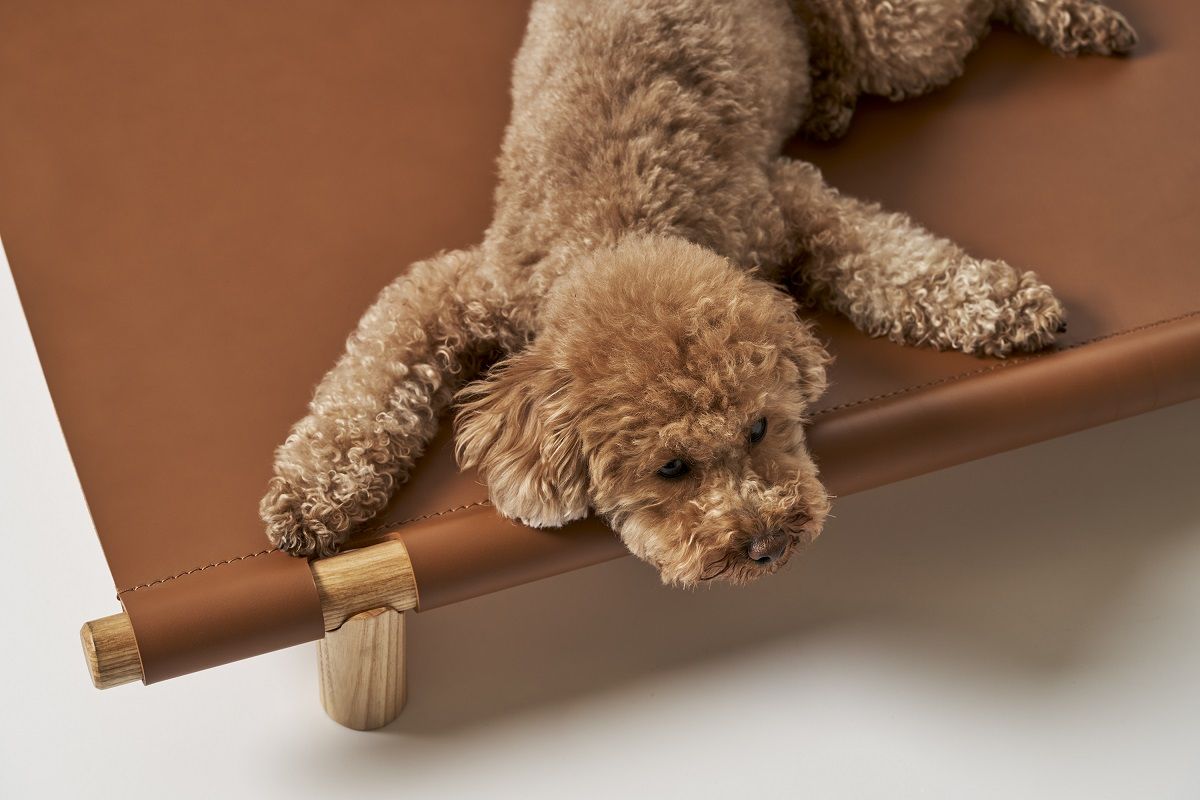 Berberé Transportable Dog bed Lit pour chien portable Opinion Ciatti