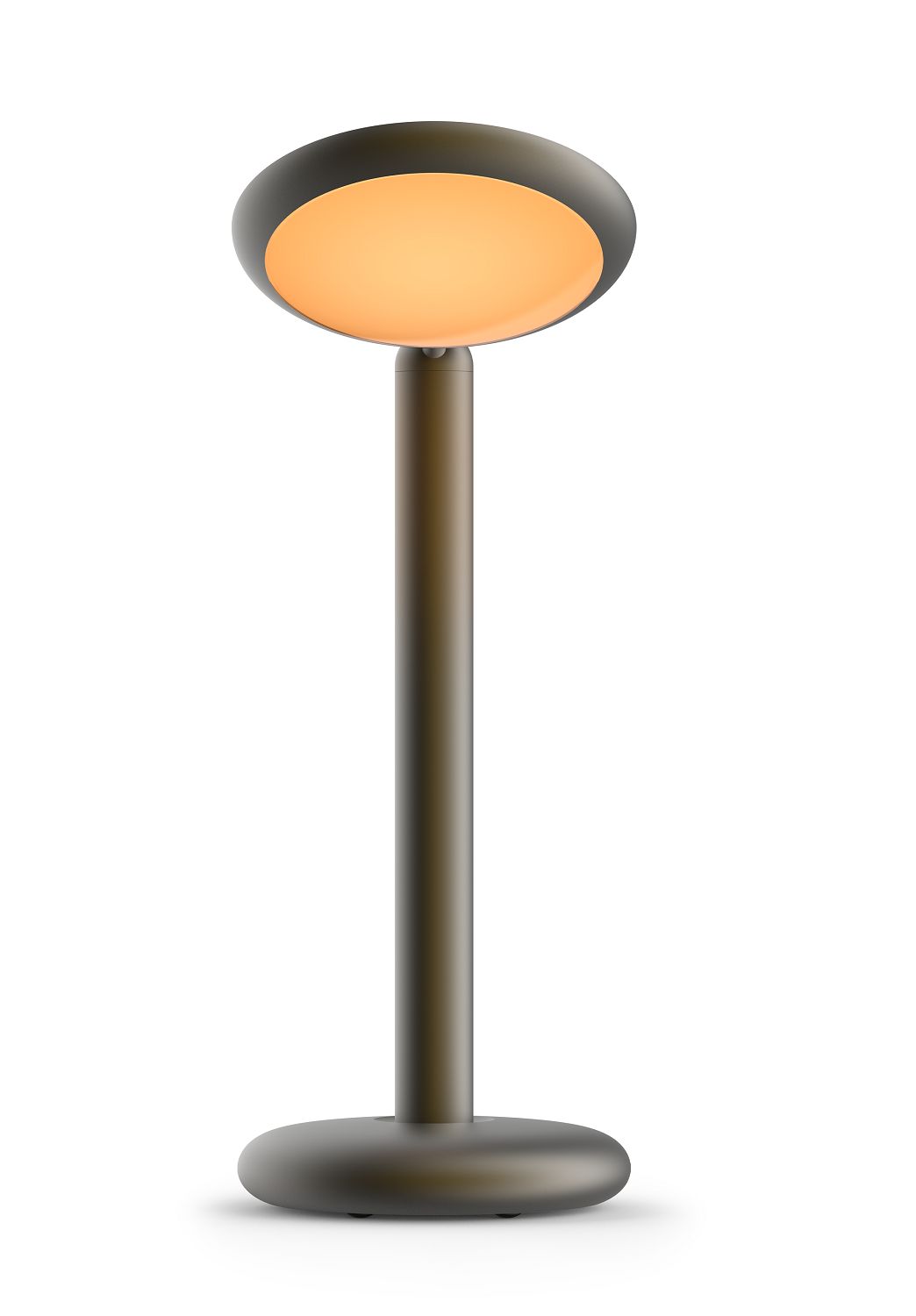 Parrot Table lamp lampe de table Gris